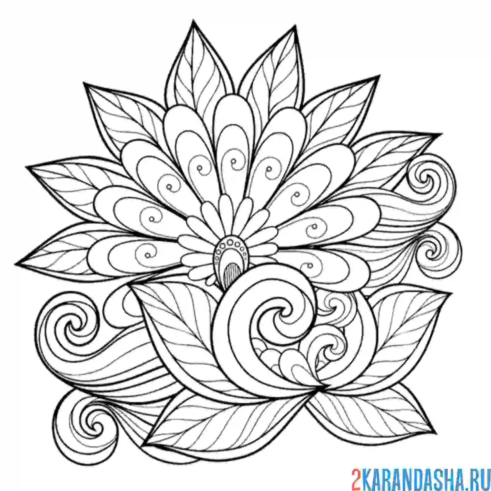 Раскраска цветок арт