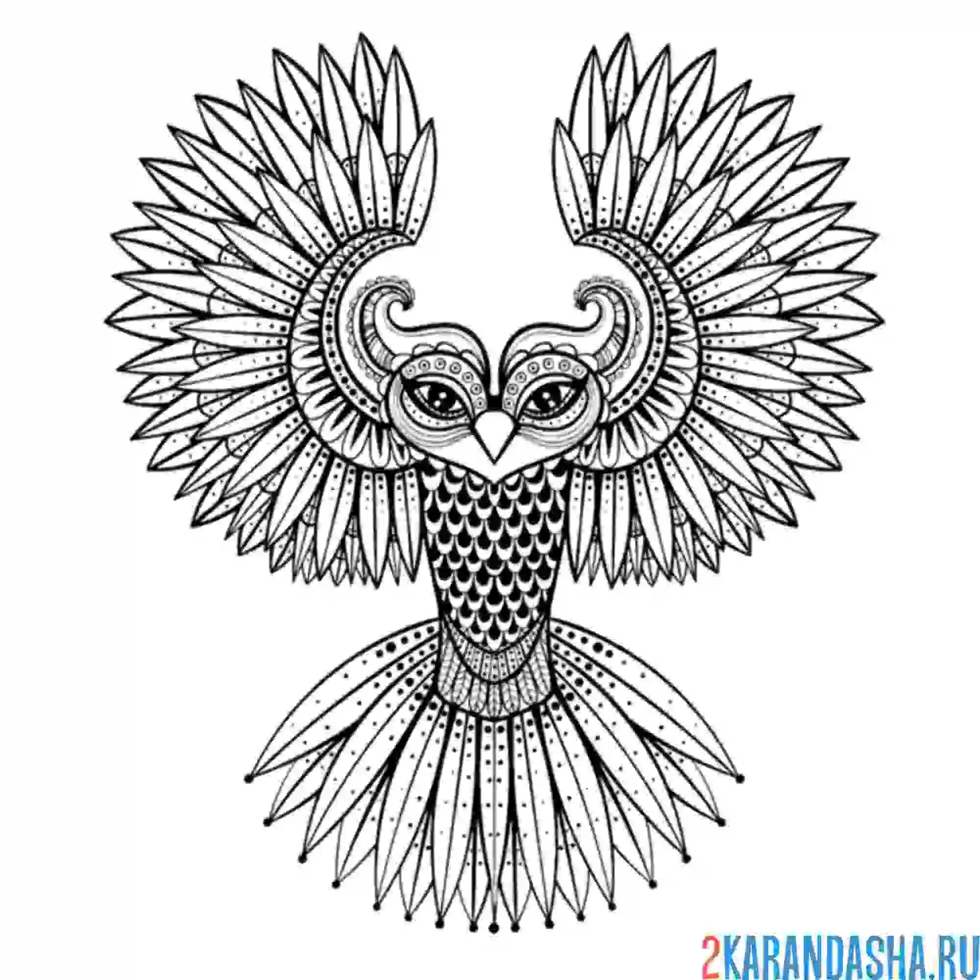 Раскраска сова арт-терапия