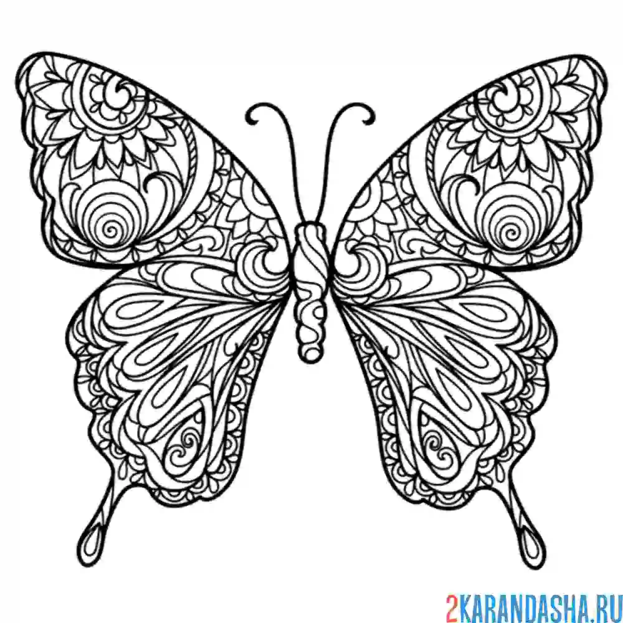 Раскраска бабочка арт-терапия