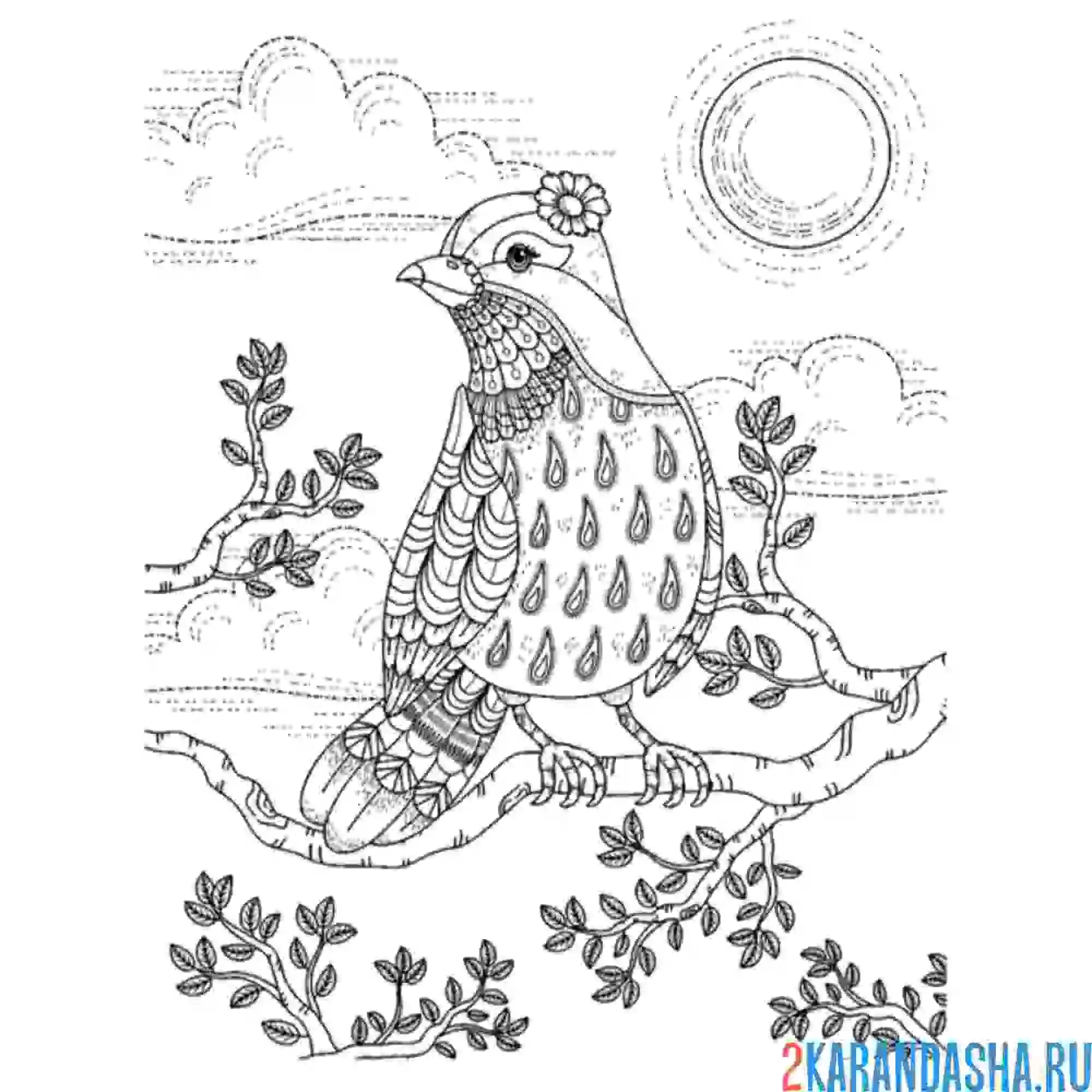 Раскраска птичка арт-терапия