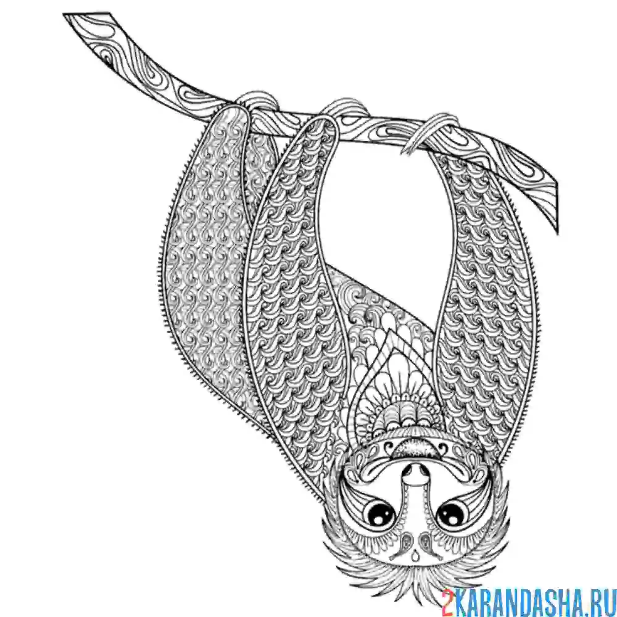 Раскраска ленивец арт-терапия