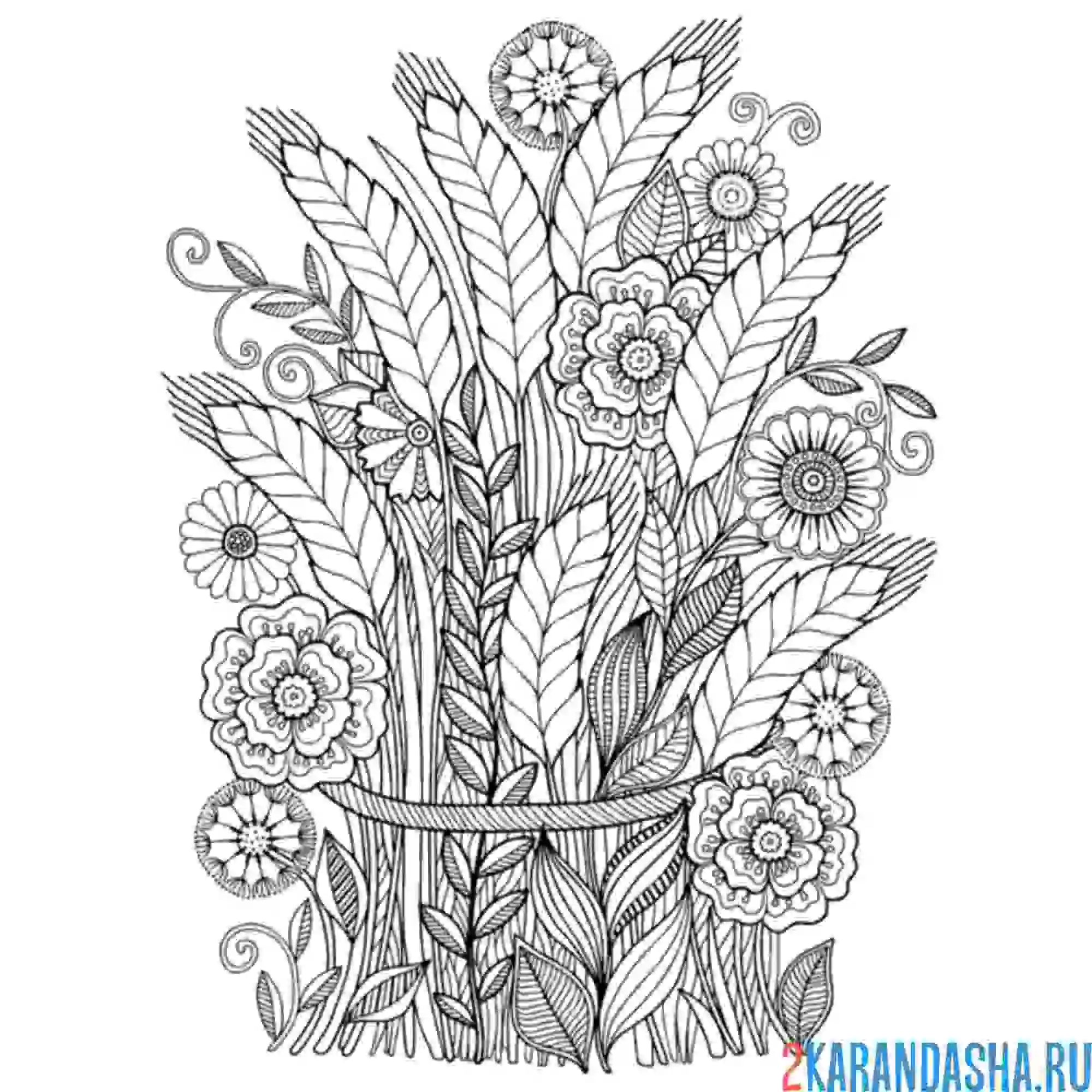 Раскраска колосья арт-терапия