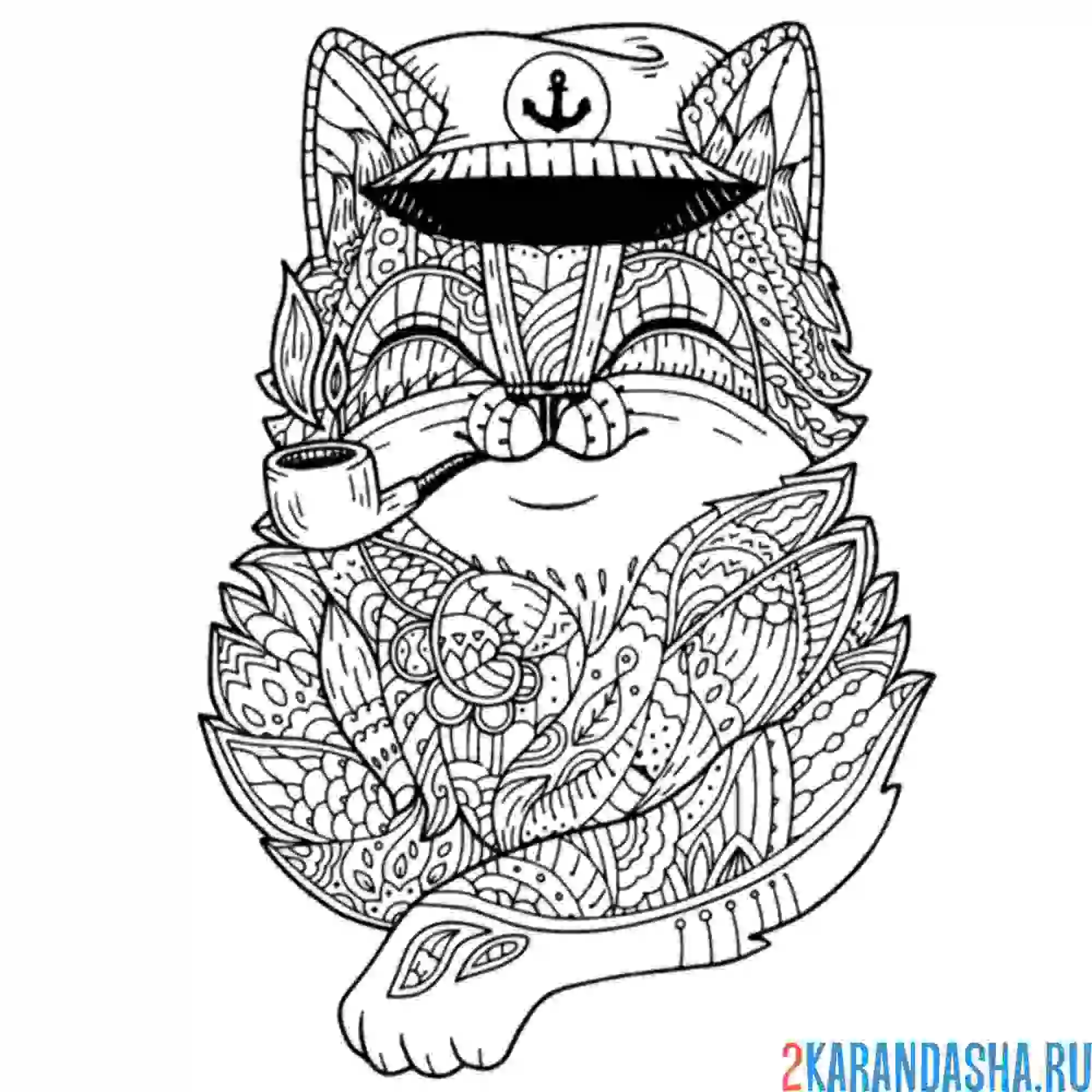 Раскраска кот-капитан