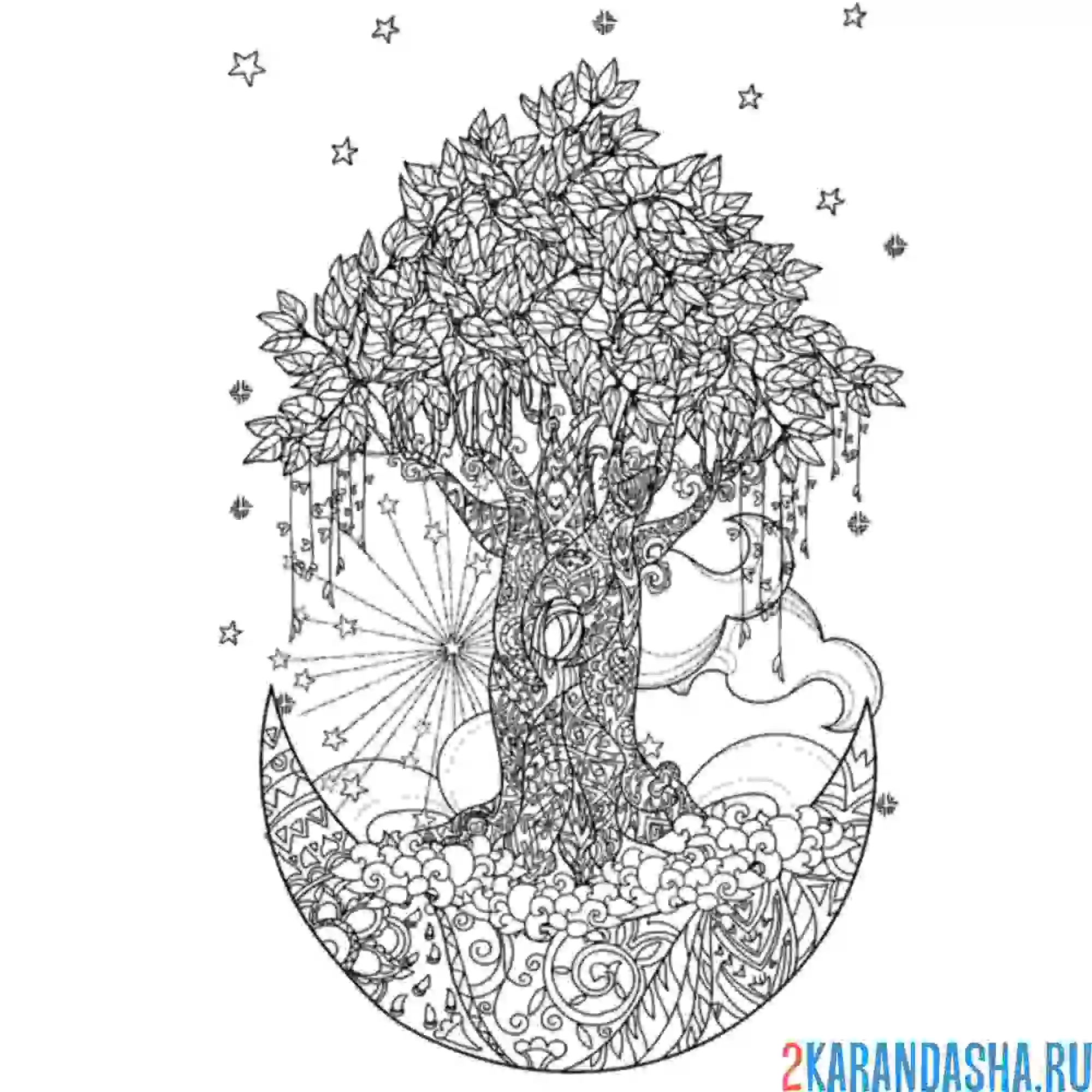 Раскраска ночное дерево антистресс