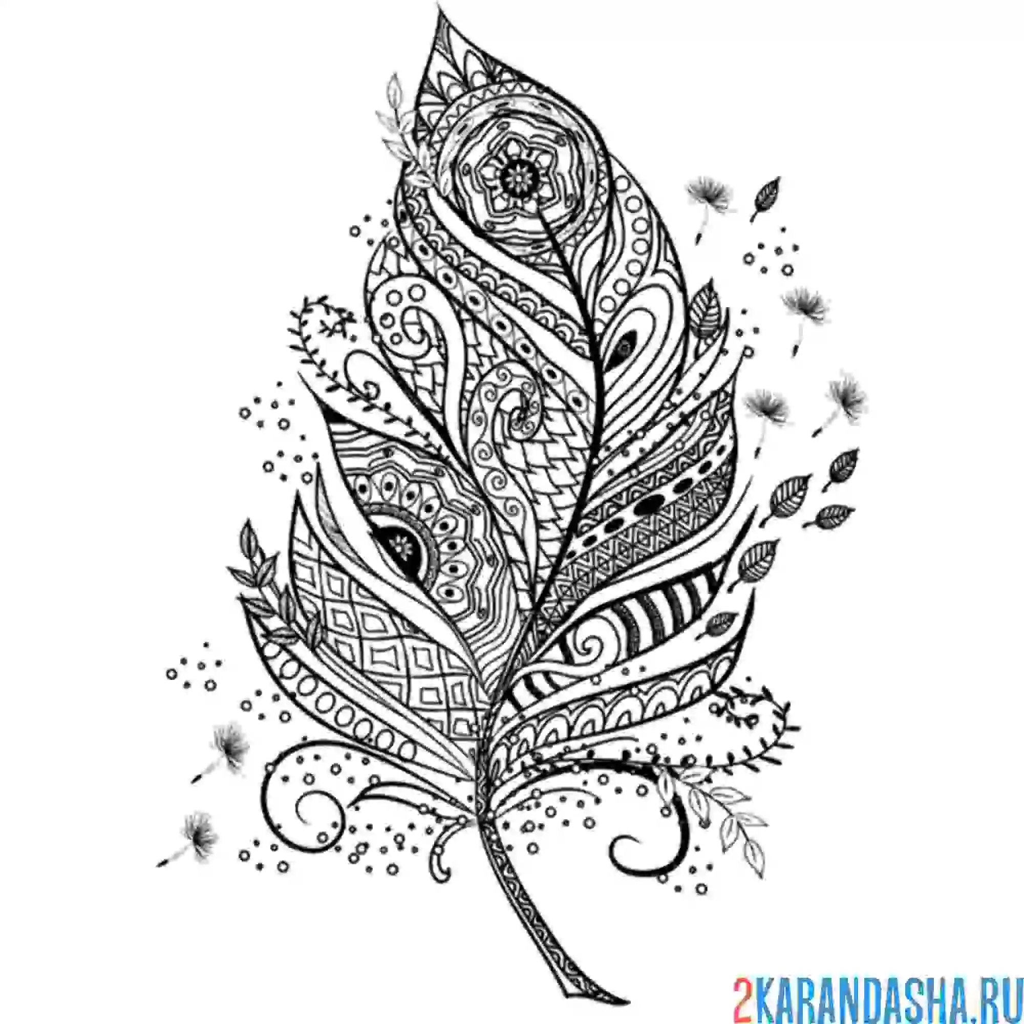 Раскраска перо антистресс арт-терапия