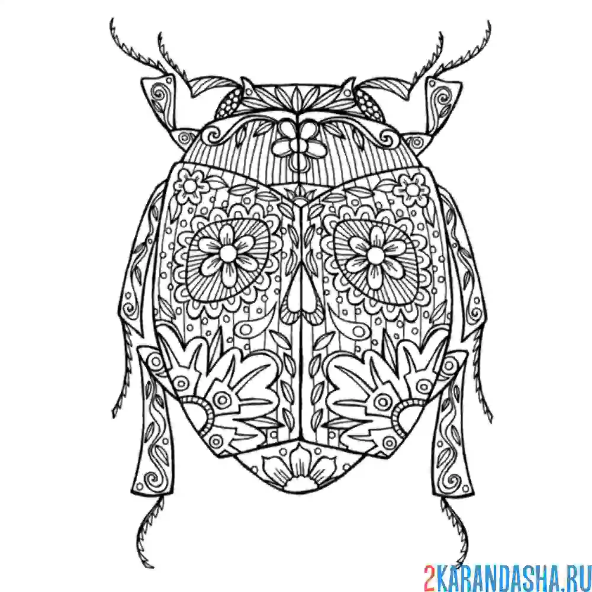 Раскраска жук-скарабей арт-терапия