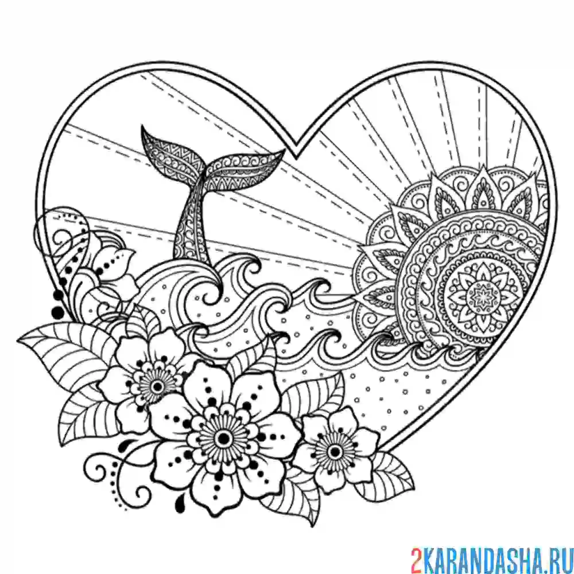 Раскраска хвост кита арт-терапия