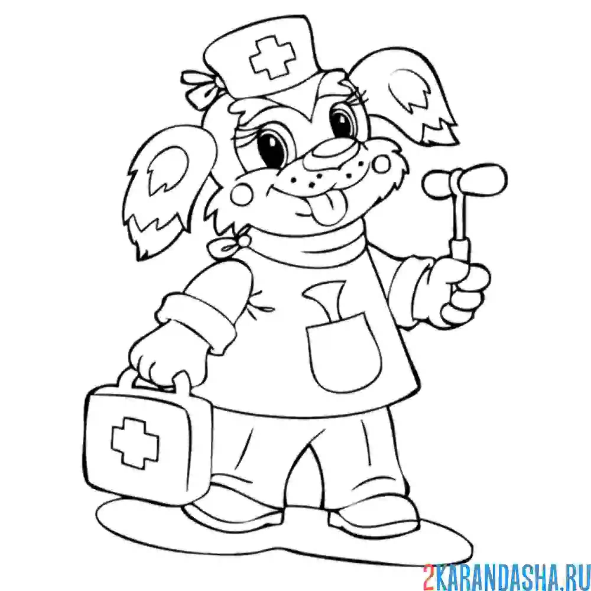 Раскраска собачка врач