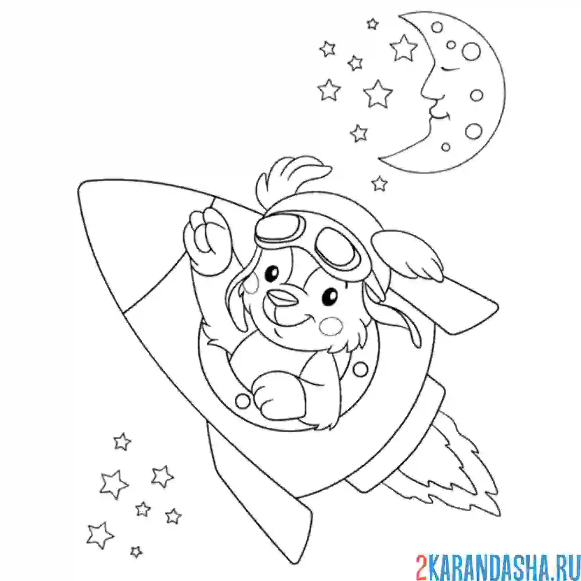 Раскраска собачка в ракете