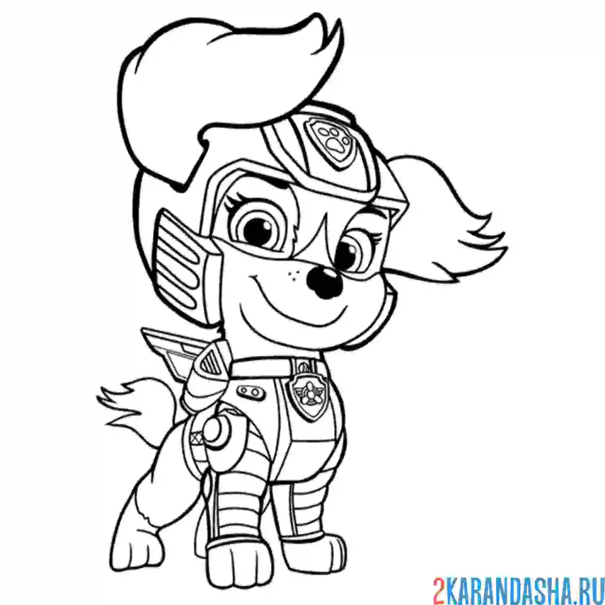 Раскраска смелая скай