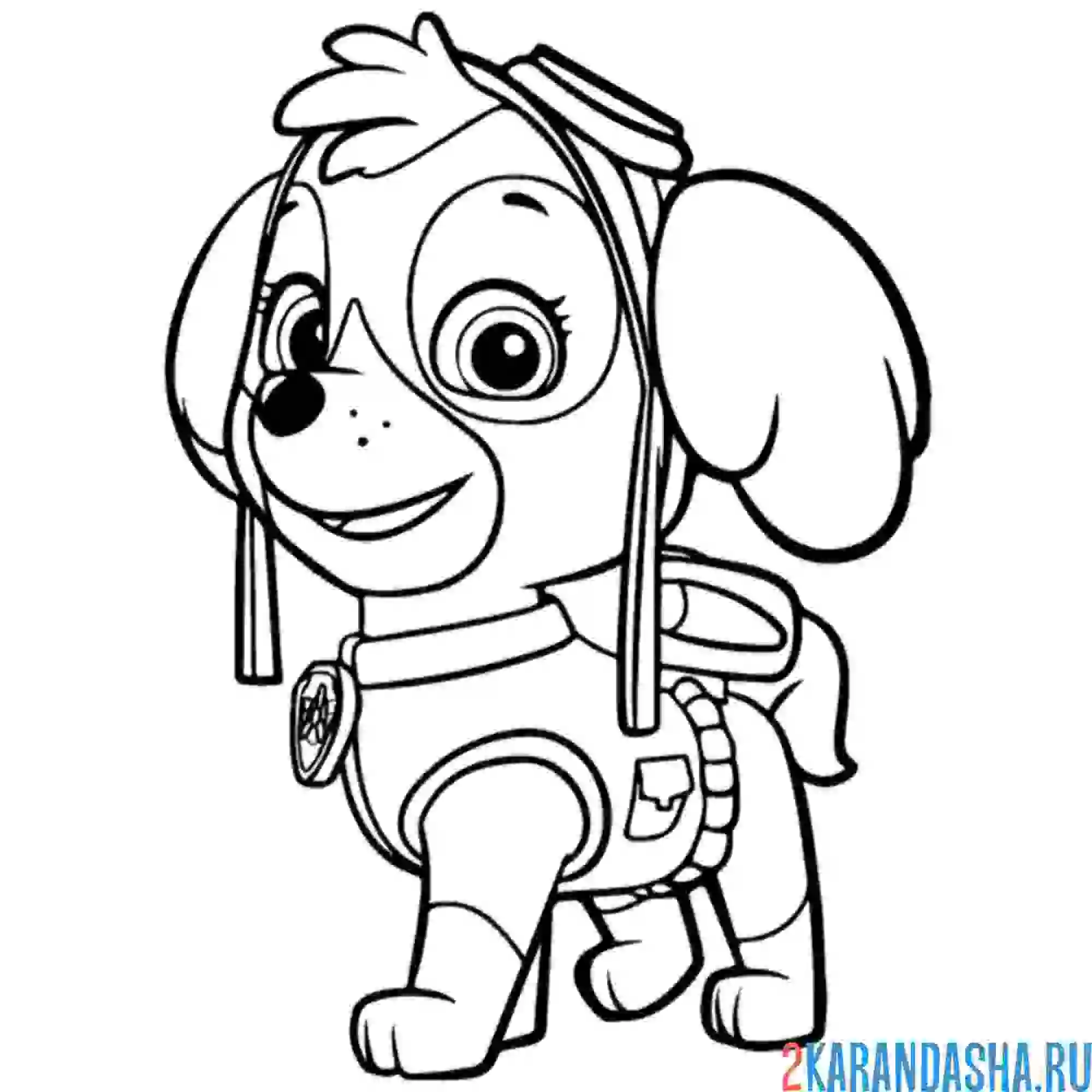 Раскраска скай щенок