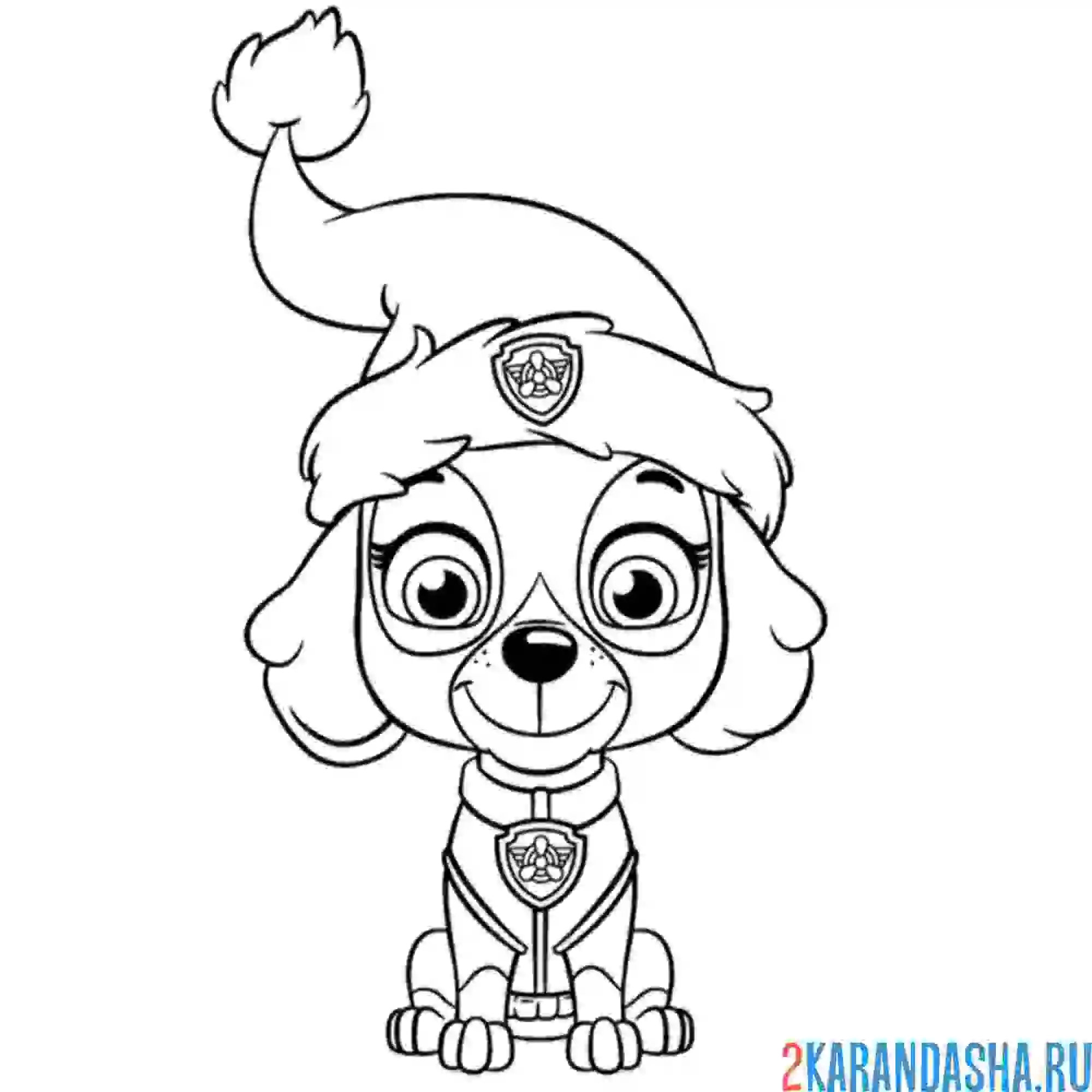 Раскраска скай новый год