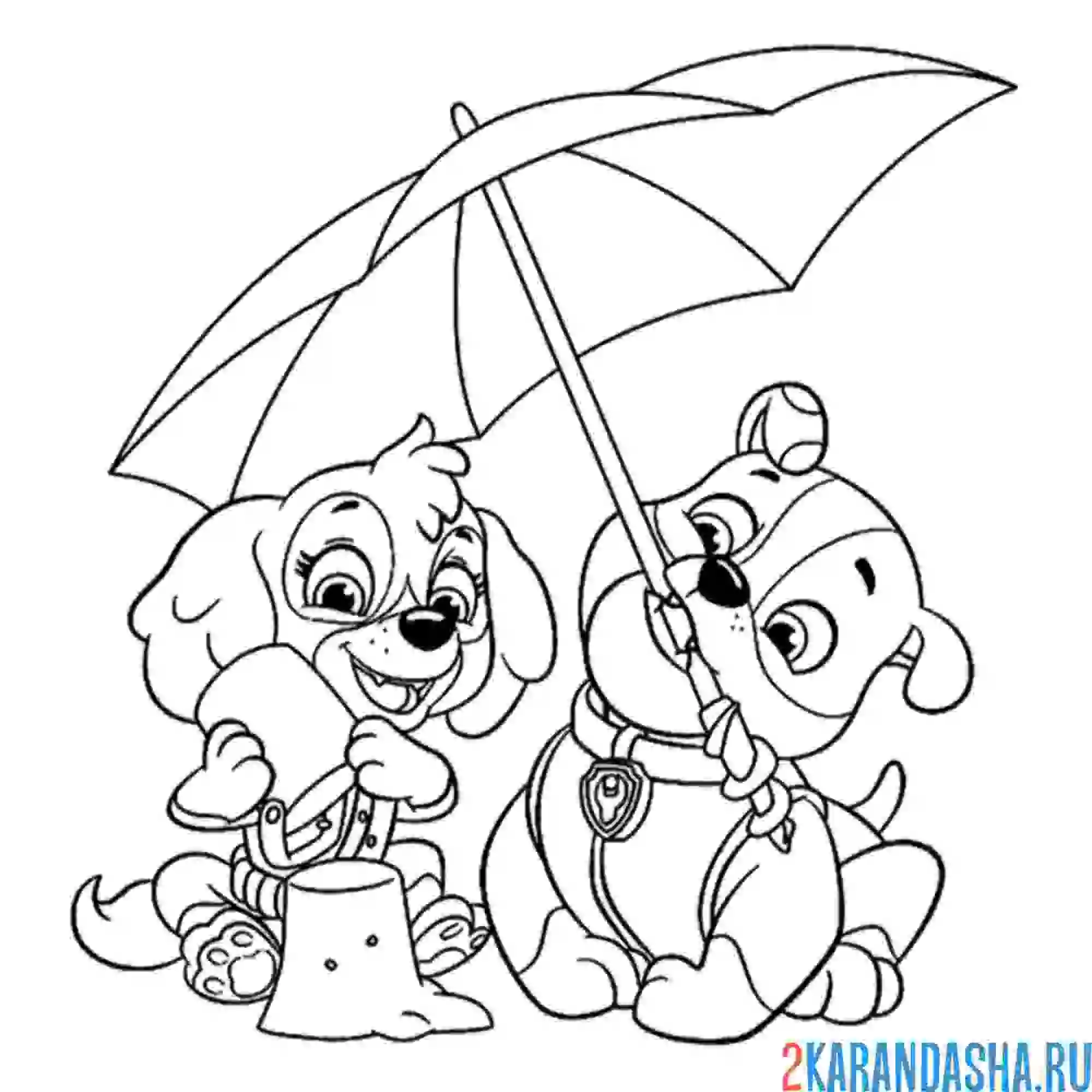 Раскраска скай и крепыш на пляже