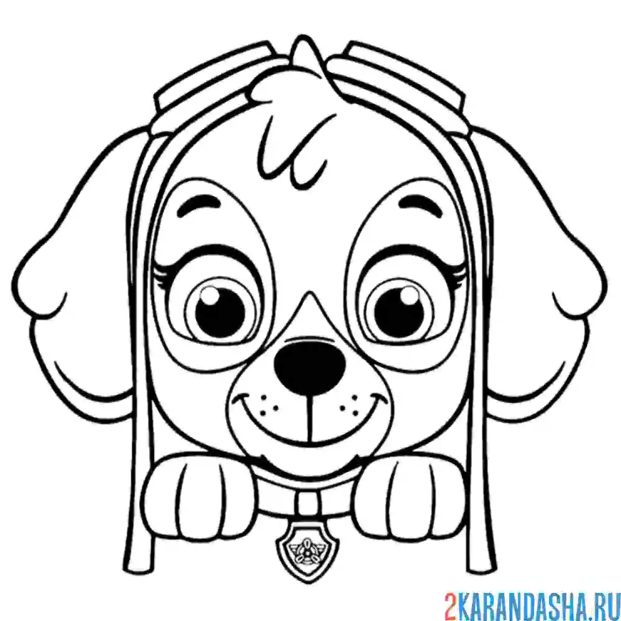 Раскраска скай мордочка