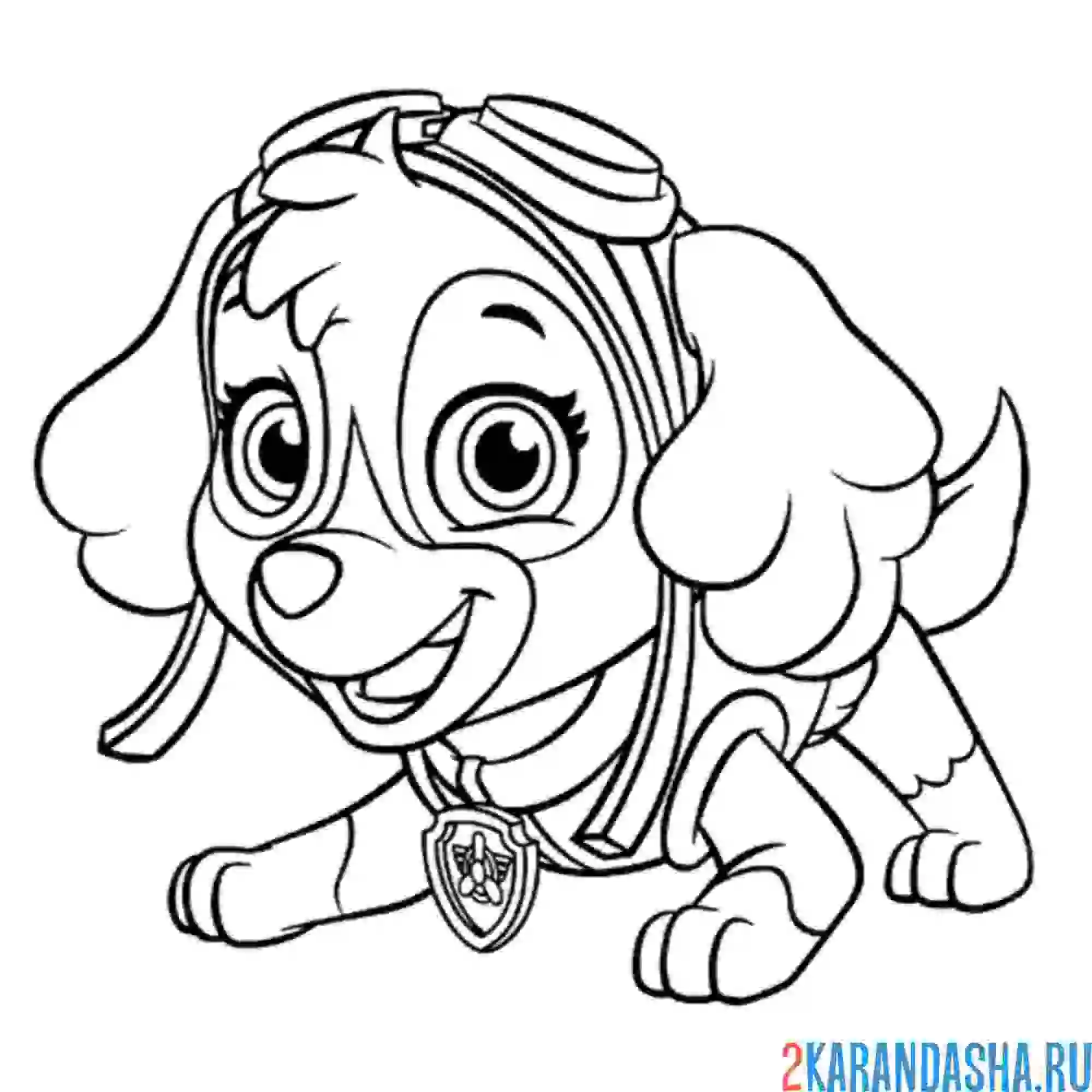 Раскраска скай играет