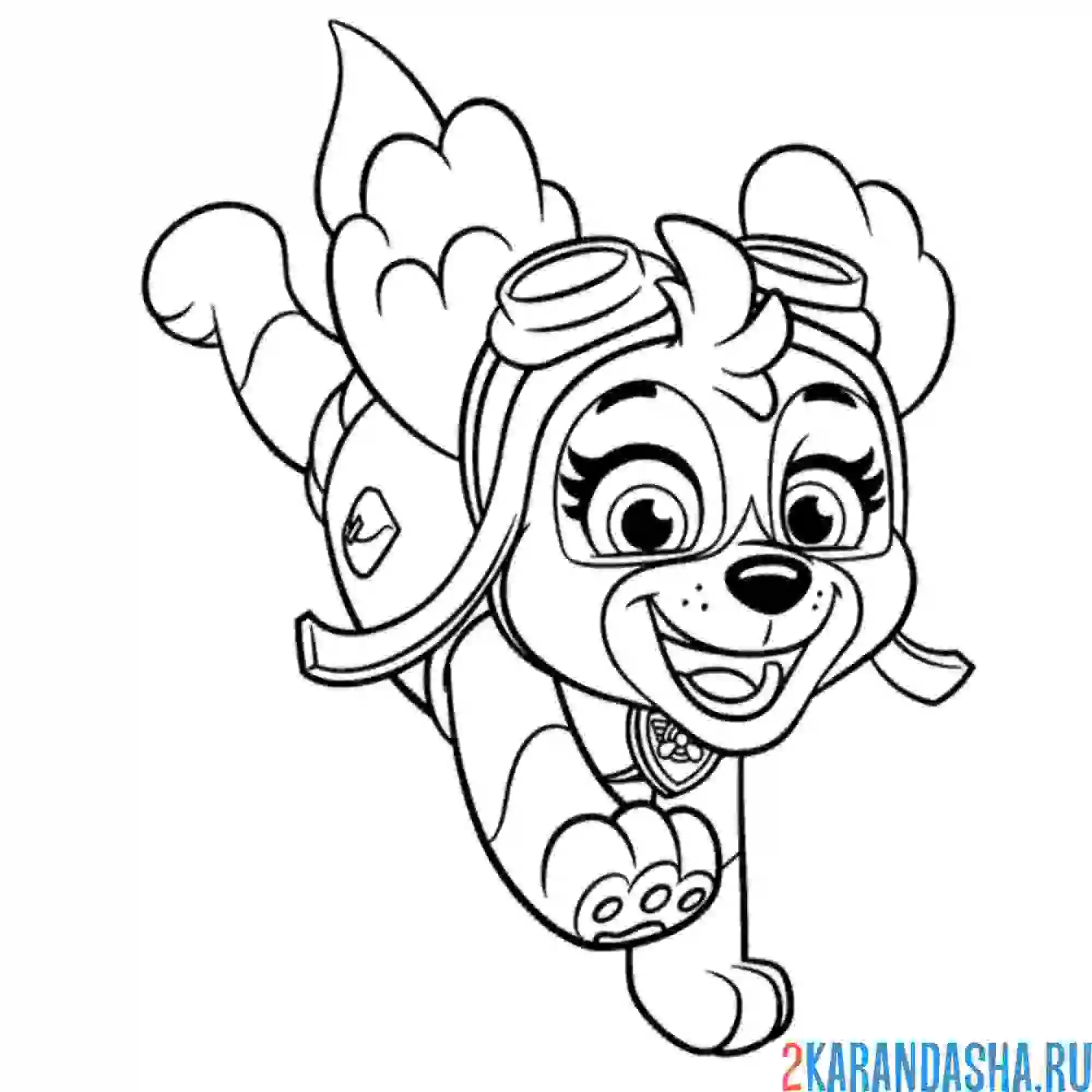 Раскраска умная скай