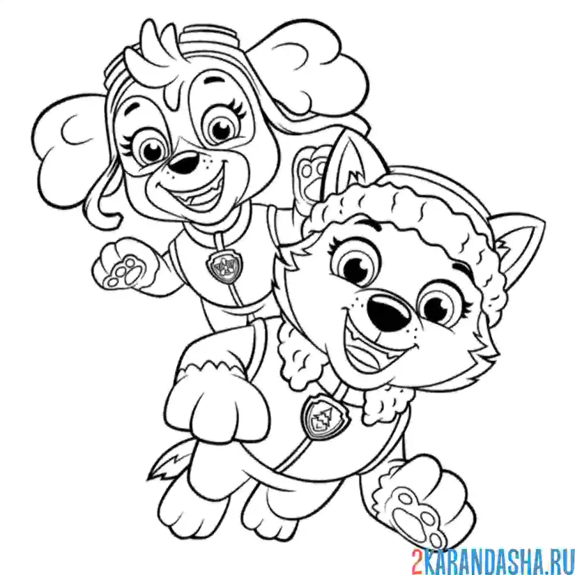 Раскраска скай и эверест