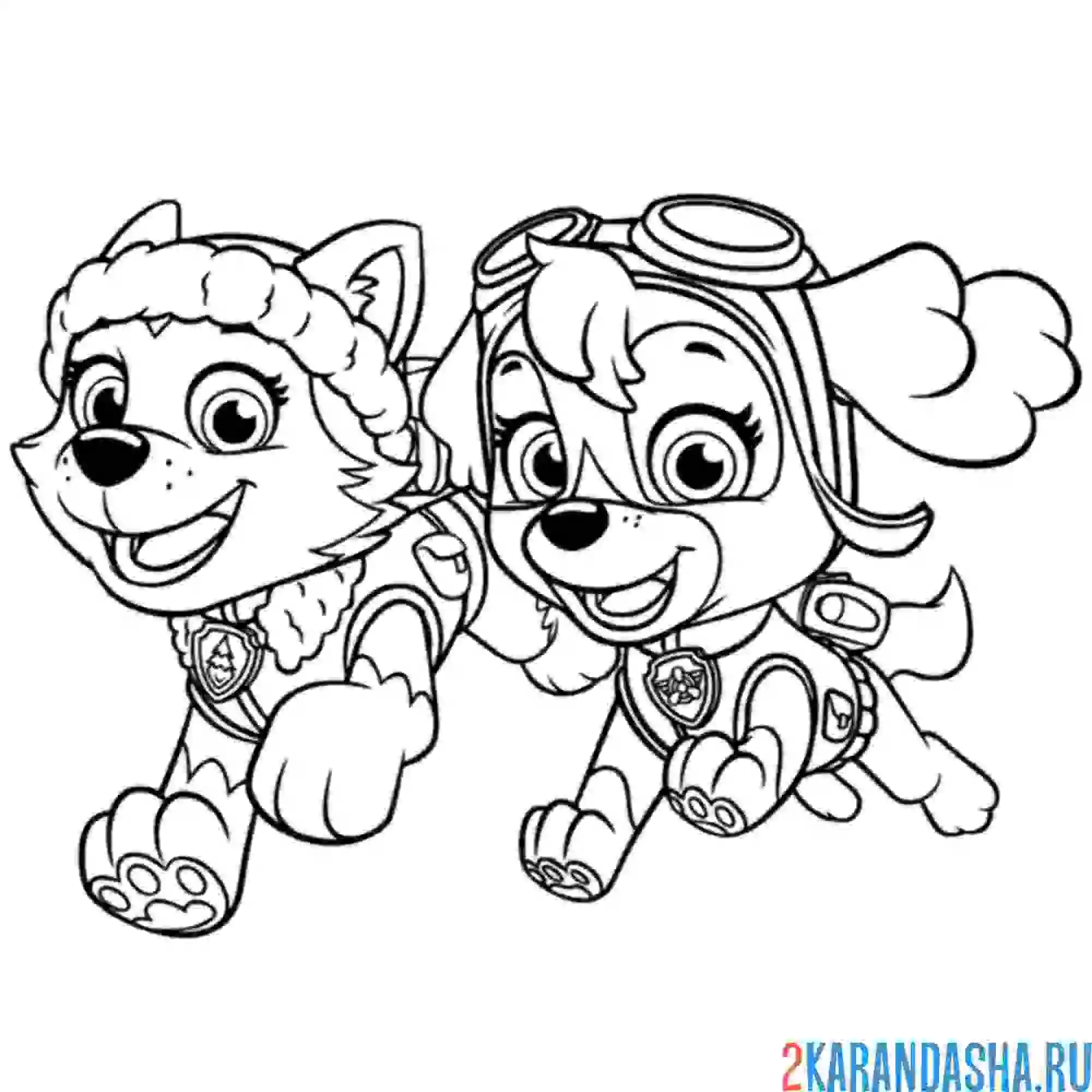 Раскраска щенки скай и эверест
