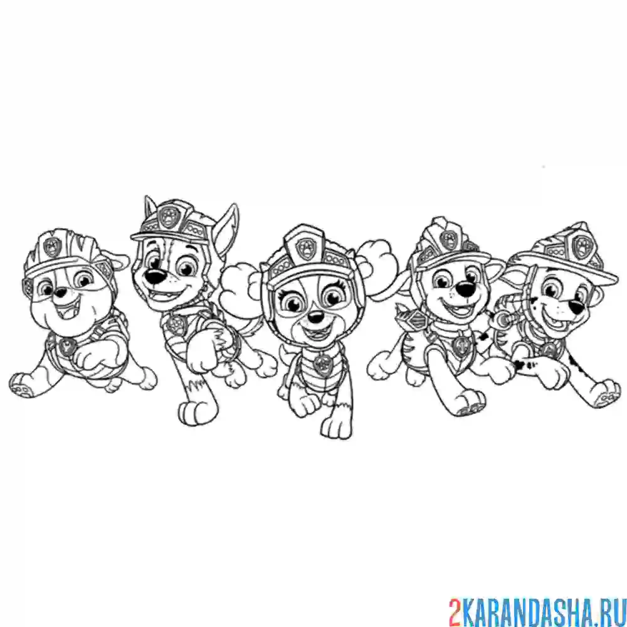 Раскраска целая команда щенячий патруль