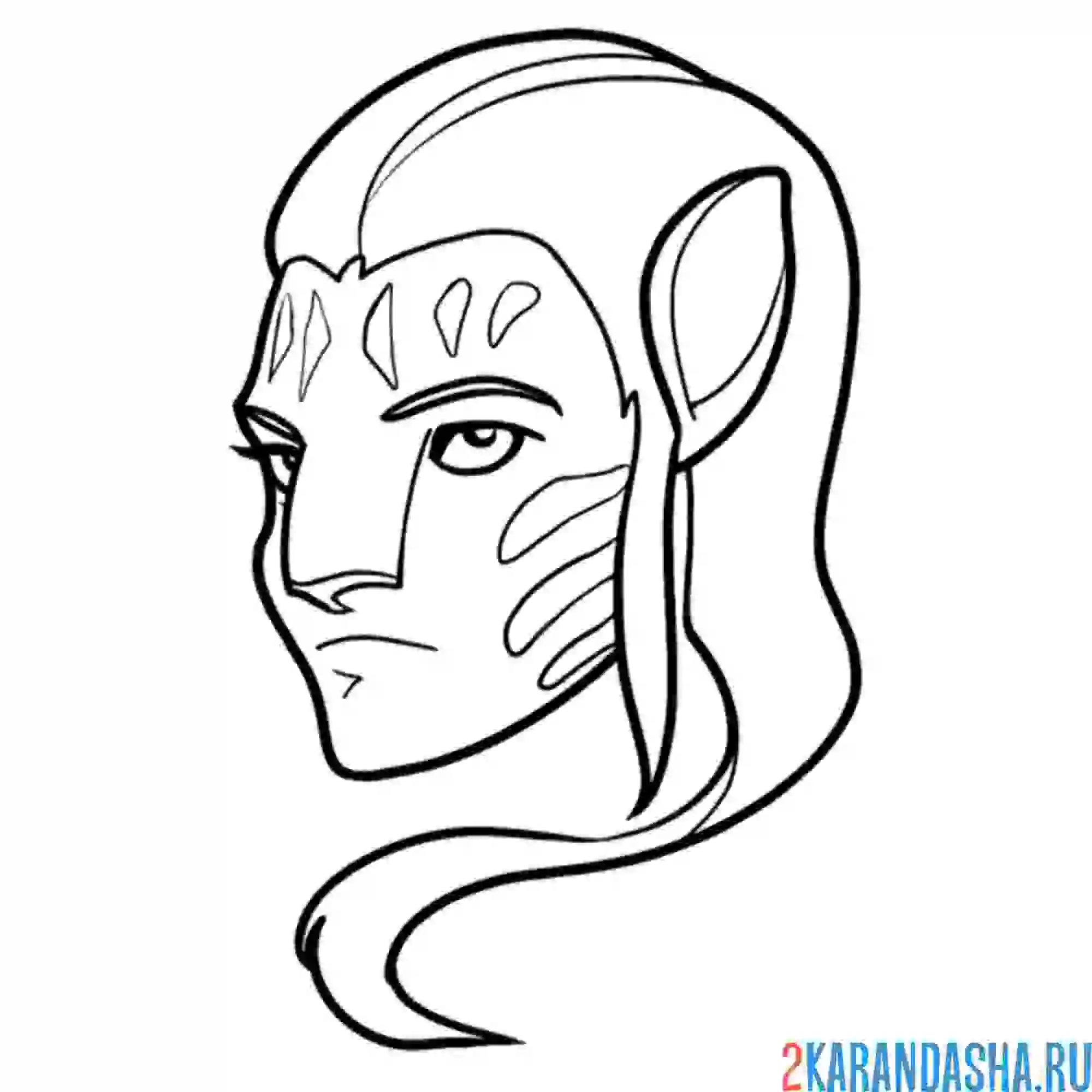 Раскраска голова аватара