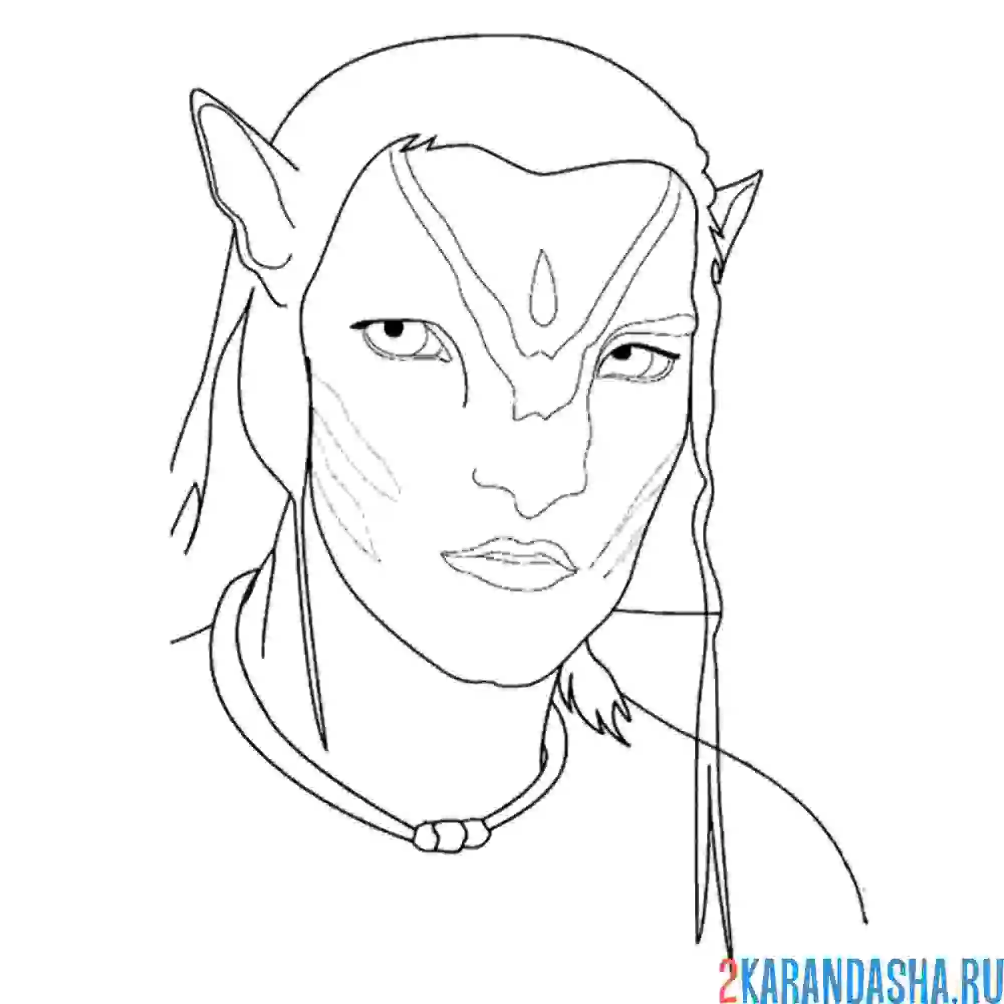 Раскраска джейк салли голова