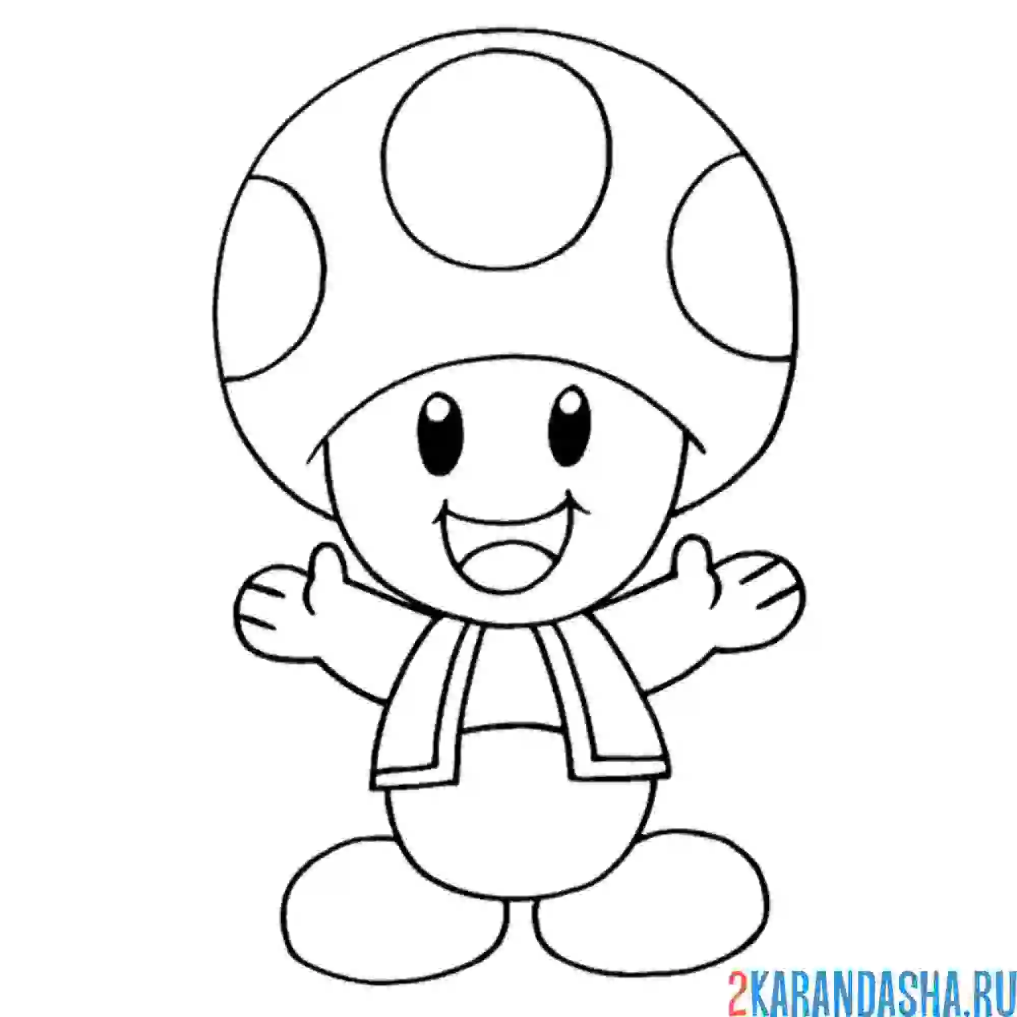 Раскраска гриб тоад