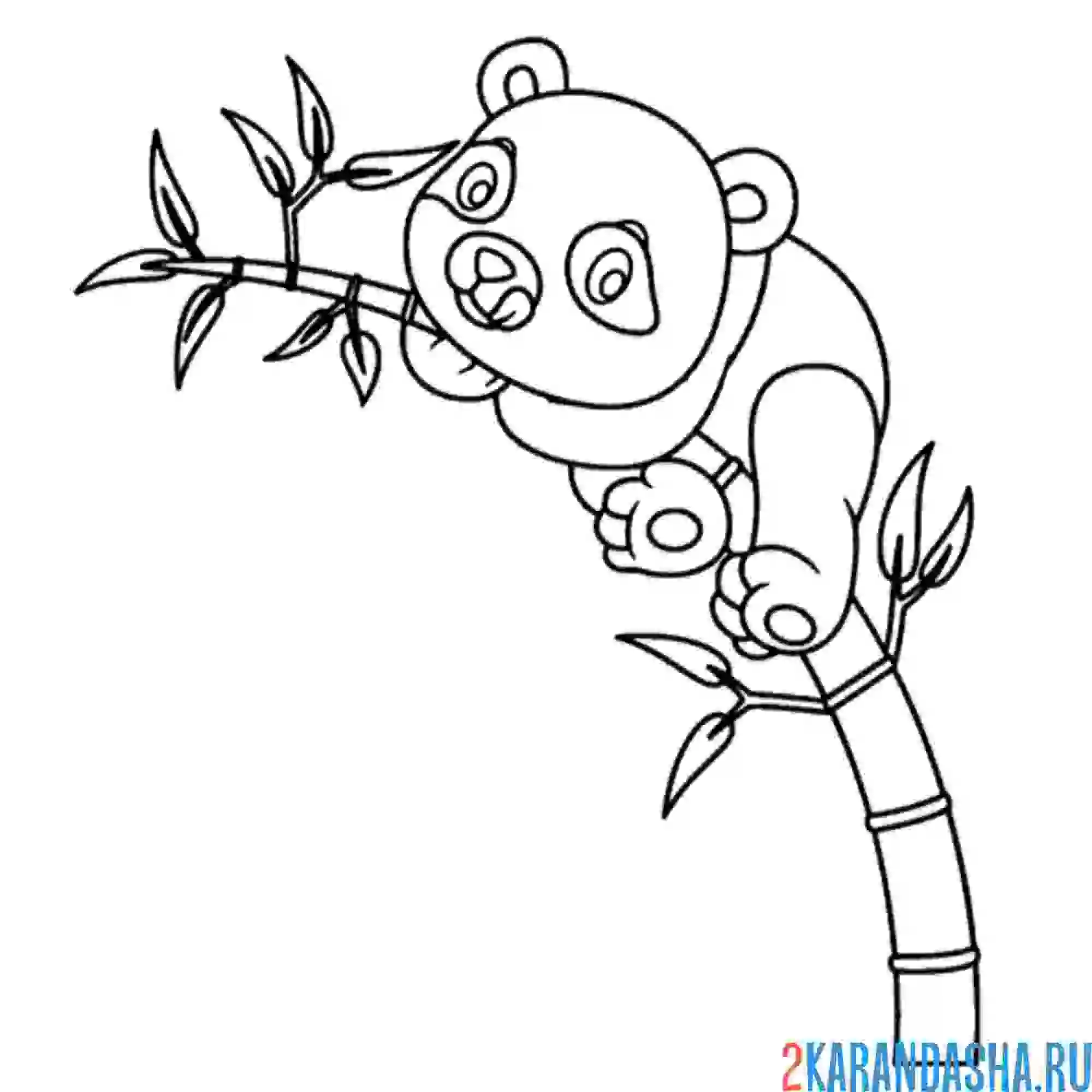 Раскраска панда на ветке