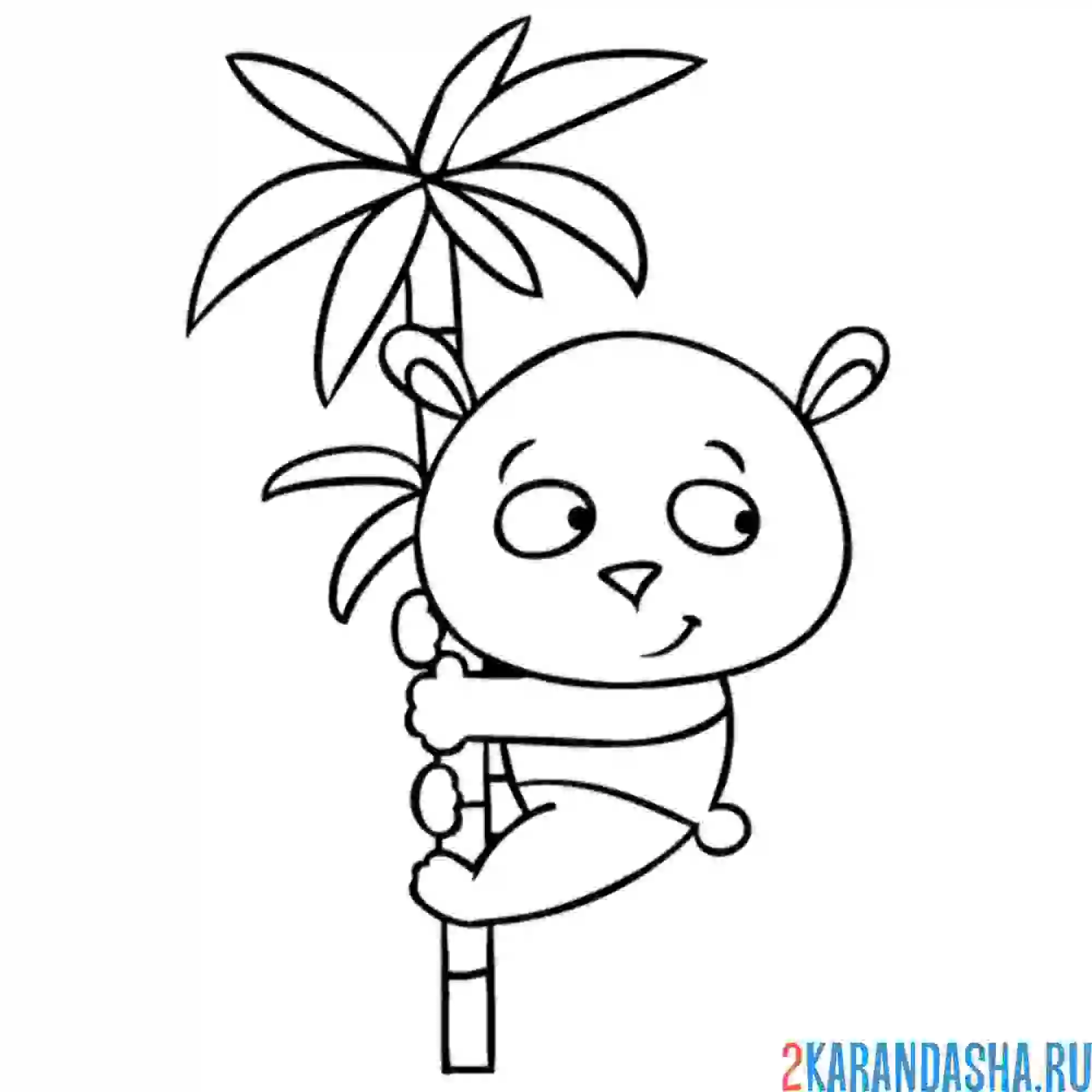 Раскраска панда на пальме