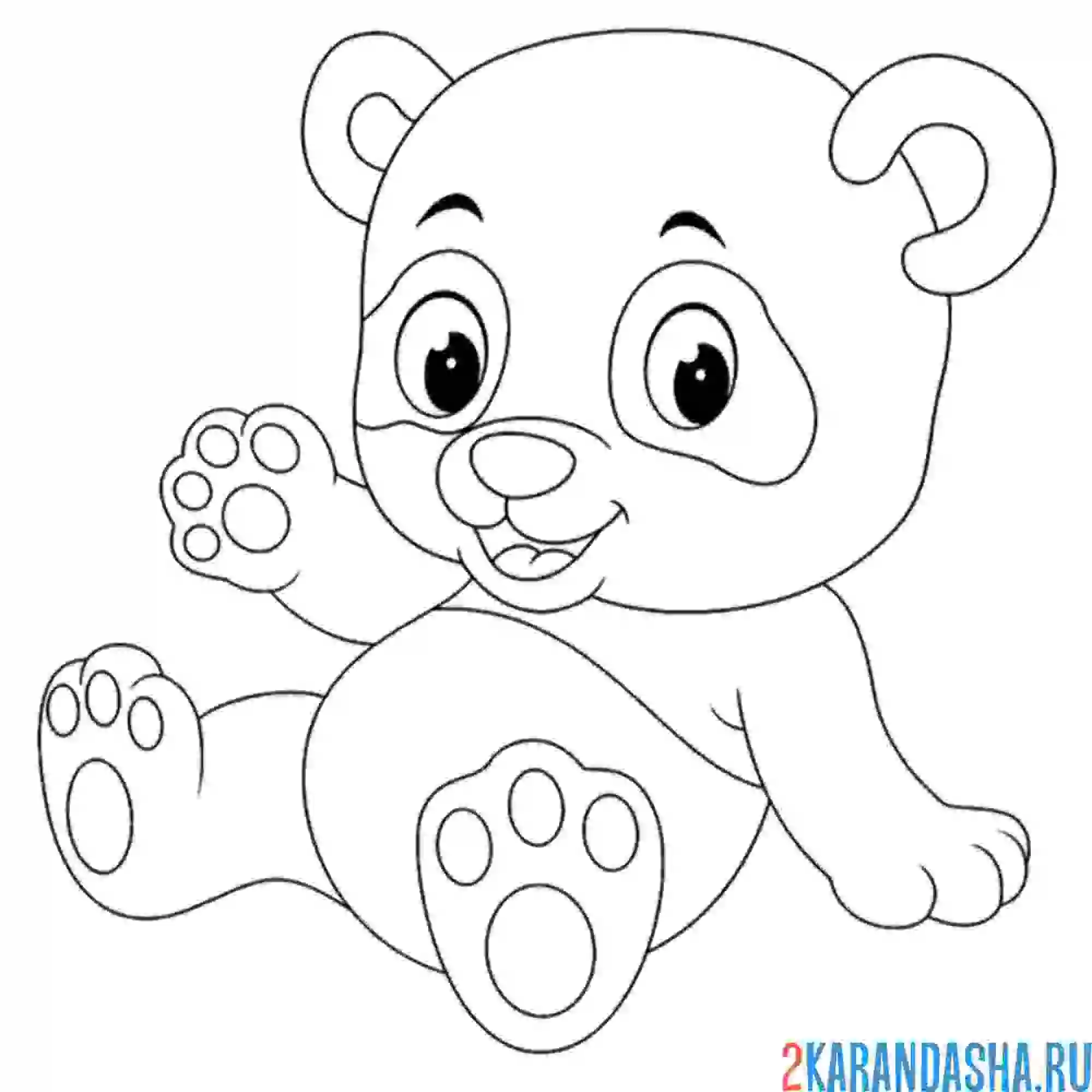 Раскраска малыш панда