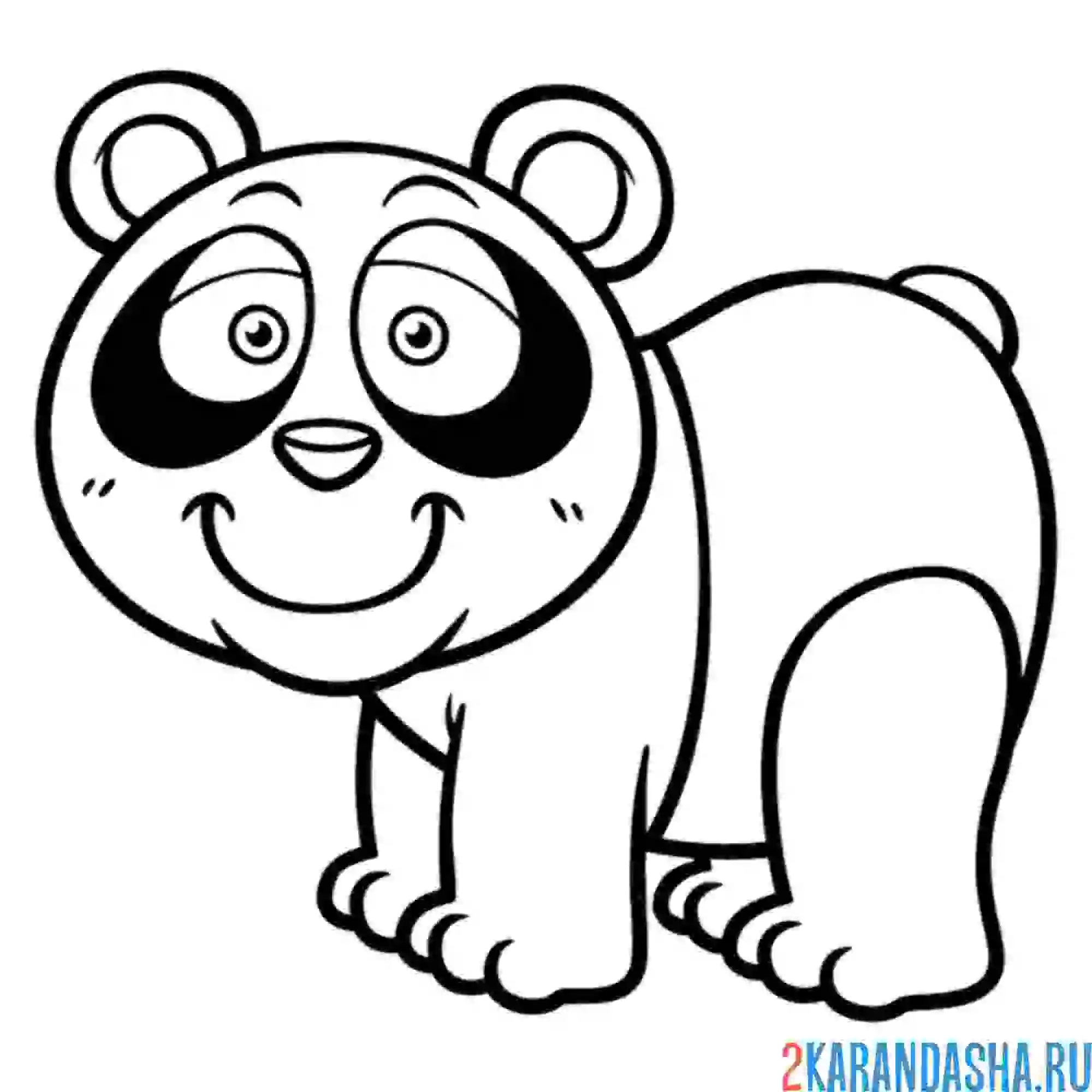 Раскраска маленькая панда
