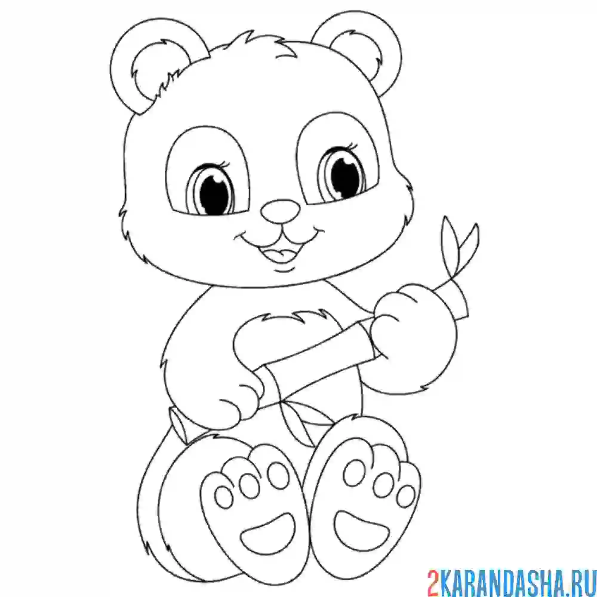 Раскраска панда держит бамбук