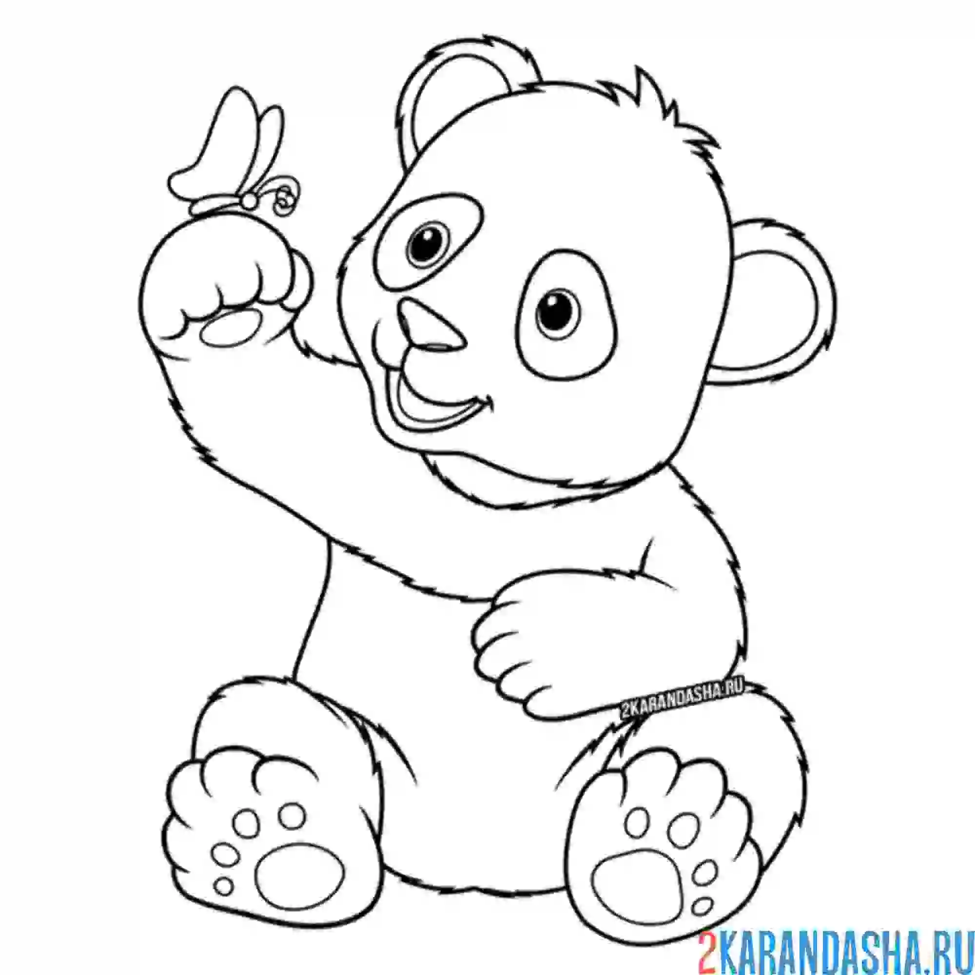 Раскраска панда и бабочка