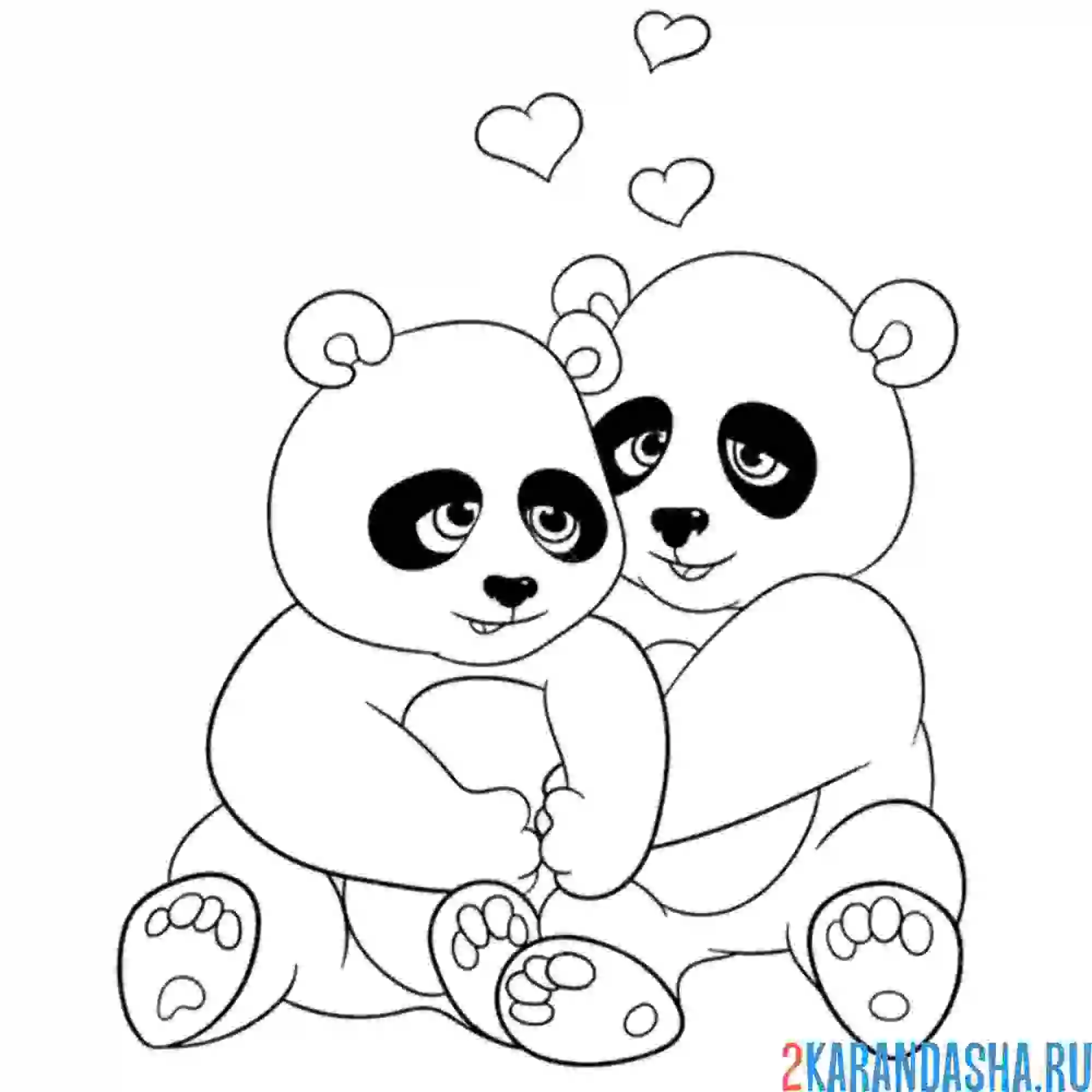 Раскраска панда любовь
