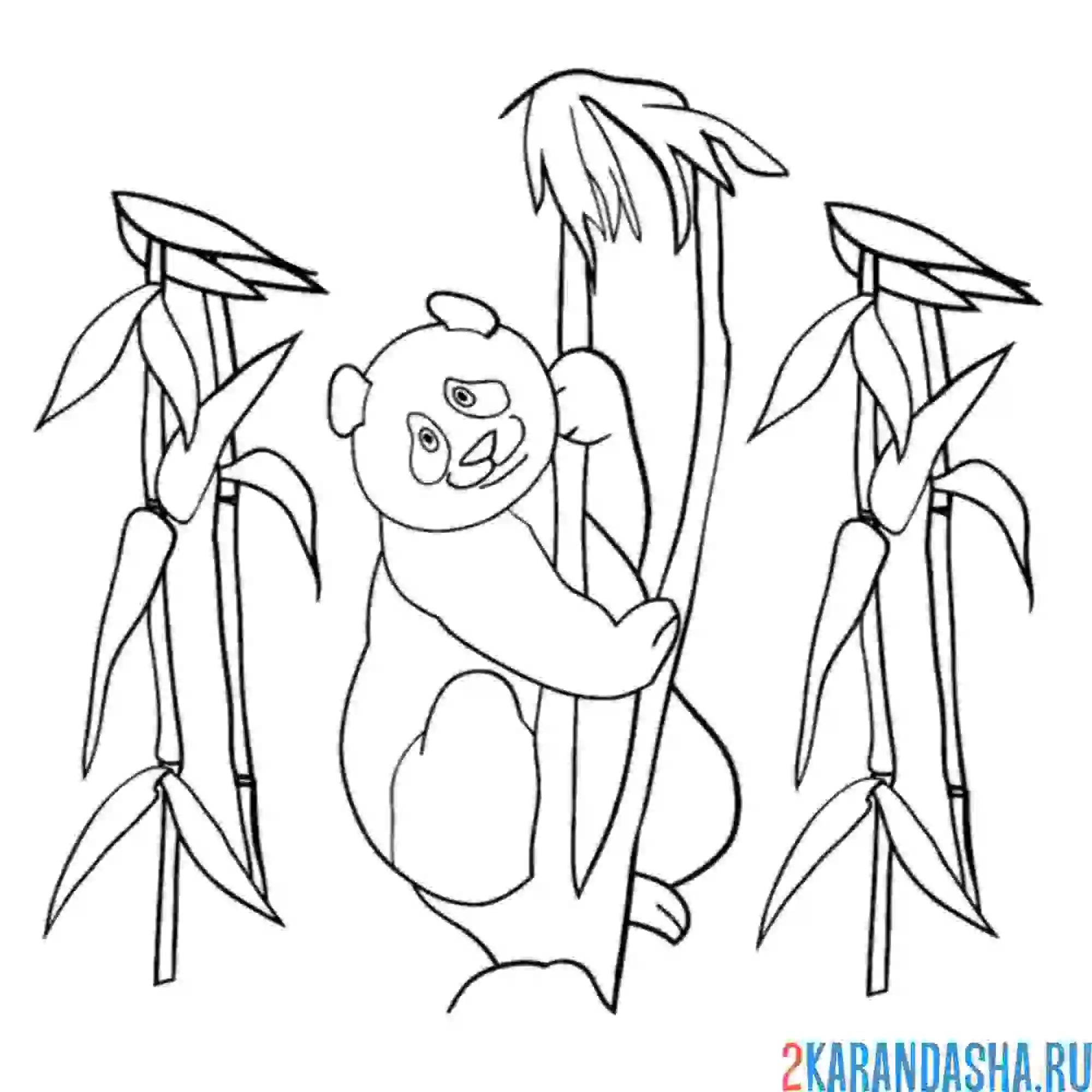 Раскраска панда на бамбуке