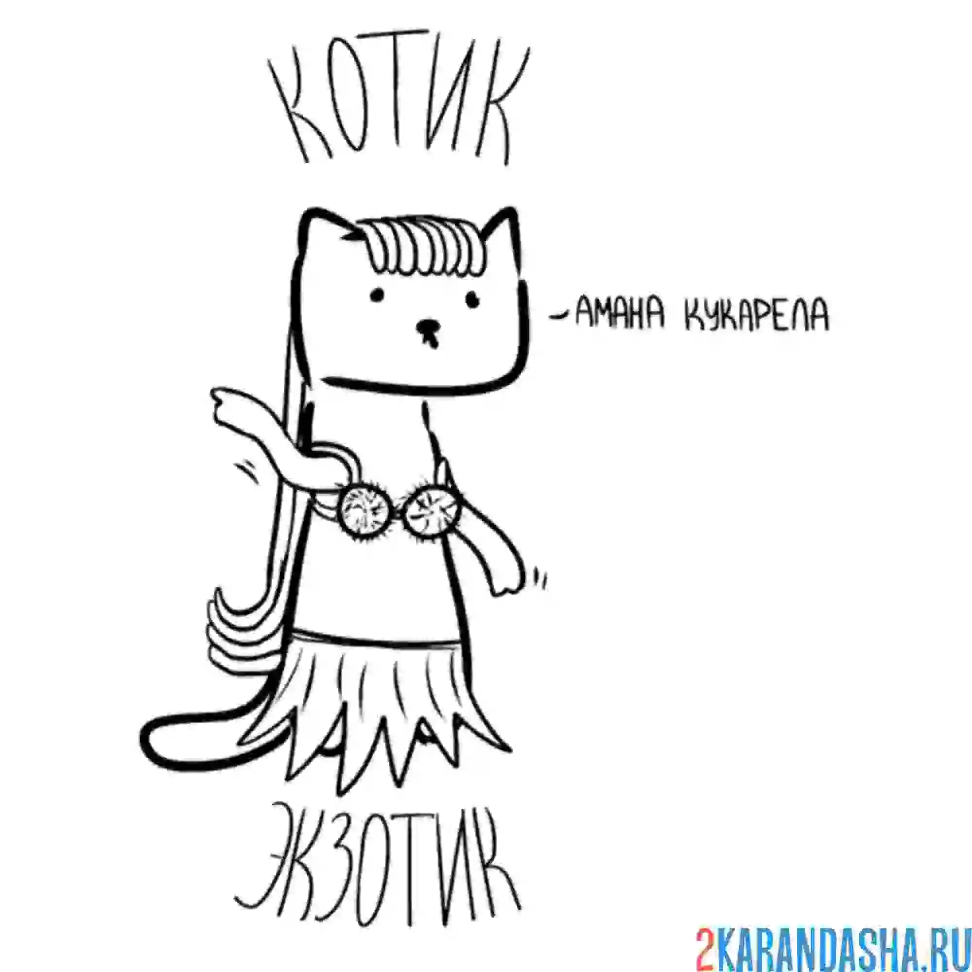 Раскраска мем экзотик котик