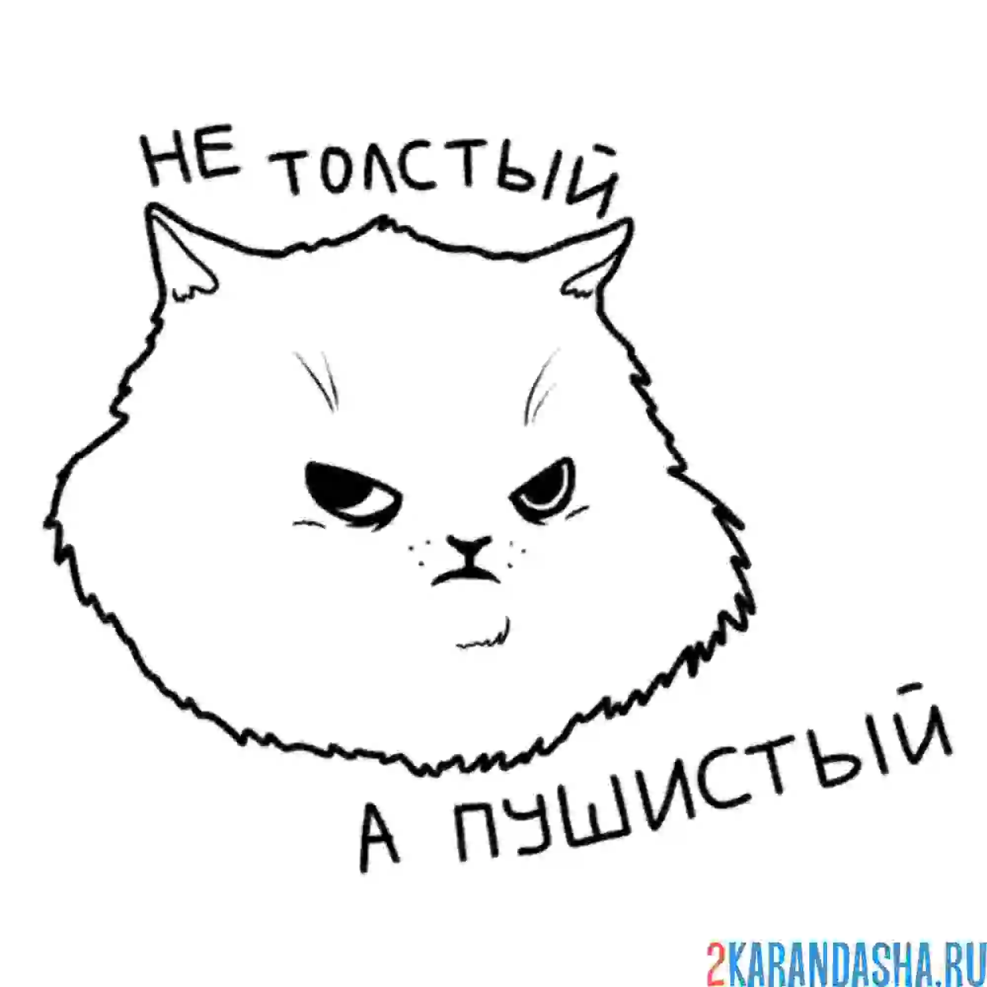 Раскраска мем пушистый кот
