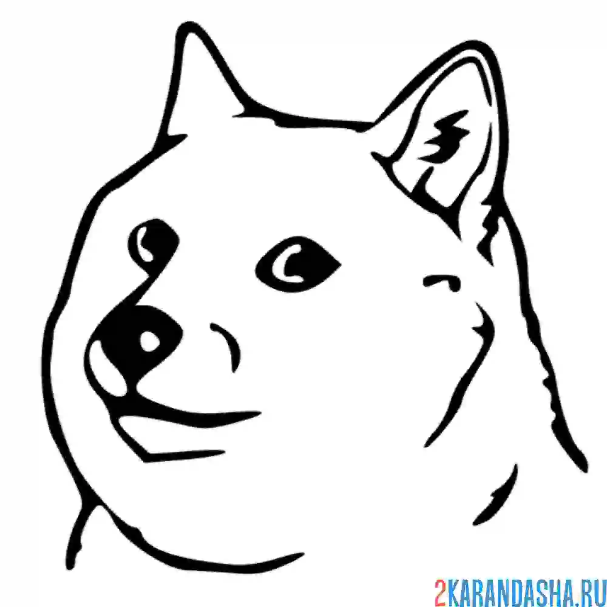 Раскраска мем собачка