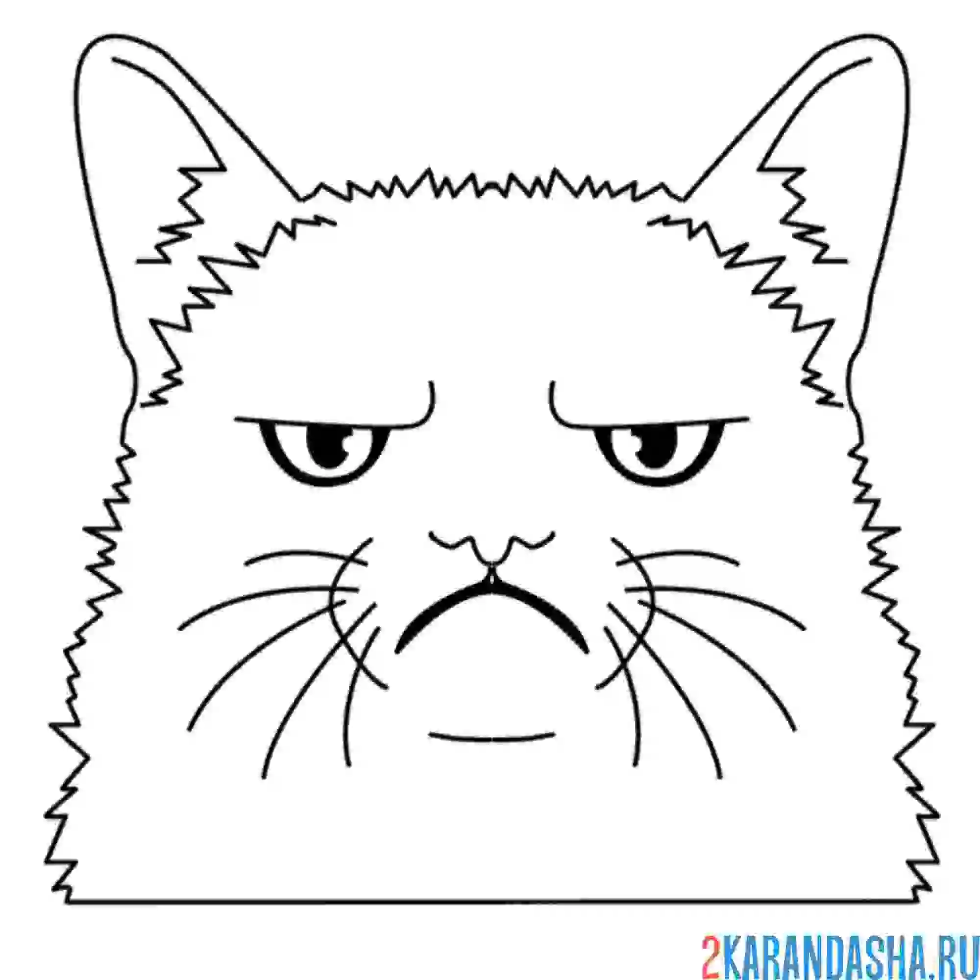 Раскраска грустный кот мем