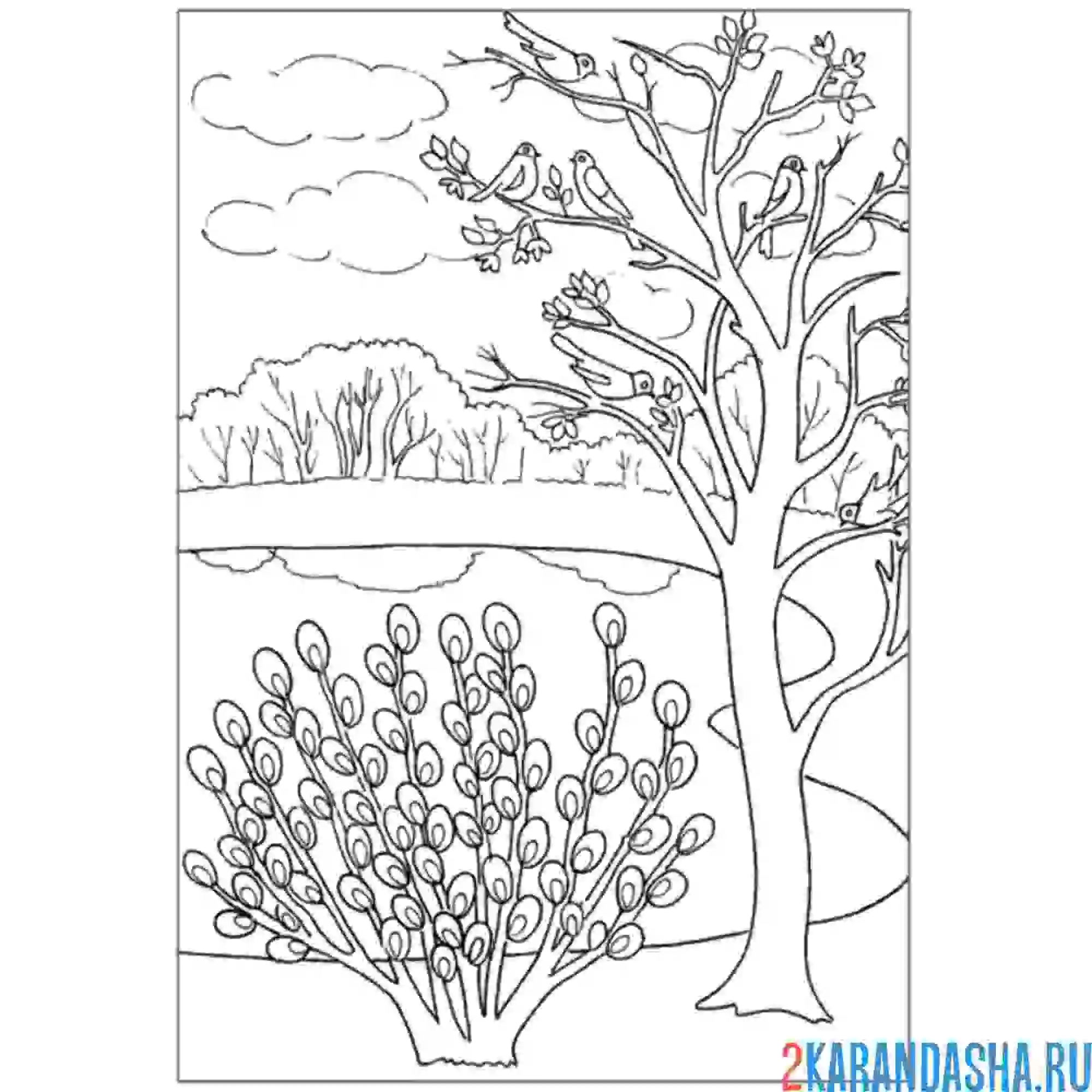 Раскраска весенняя природа лес