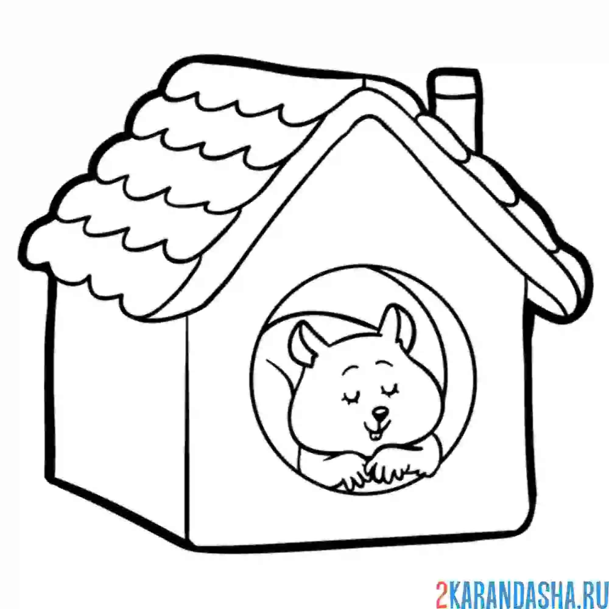 Раскраска хомяк в домике