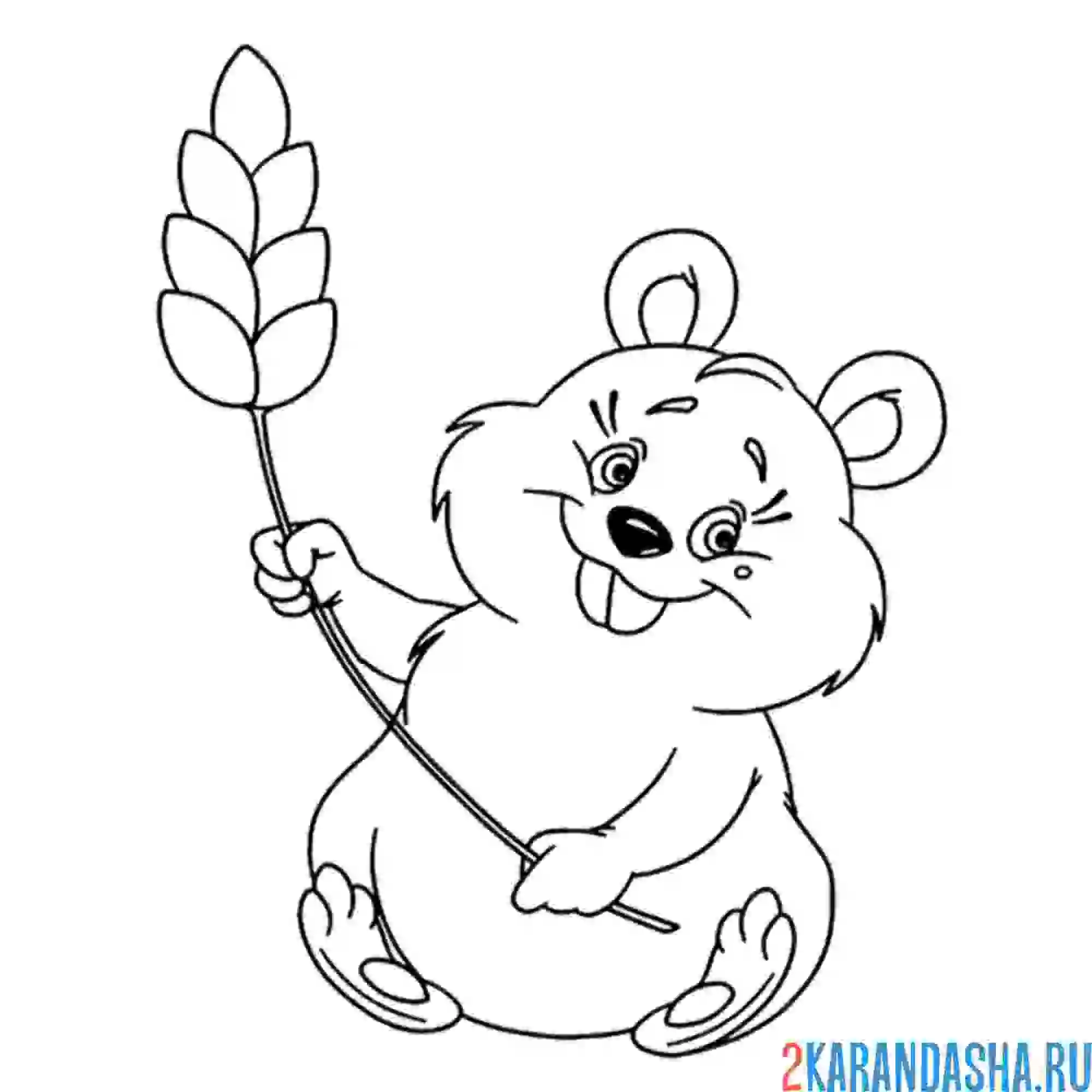Раскраска хомяк и пшеница