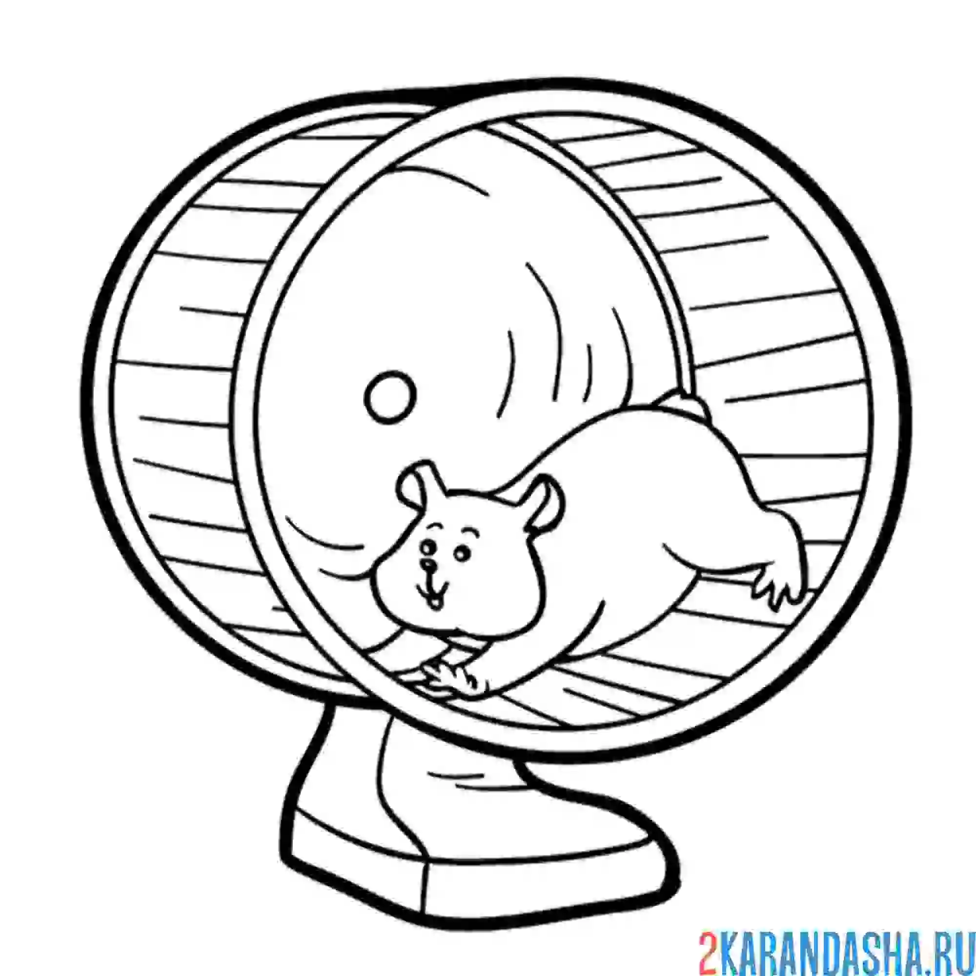 Раскраска хомяк в колесе