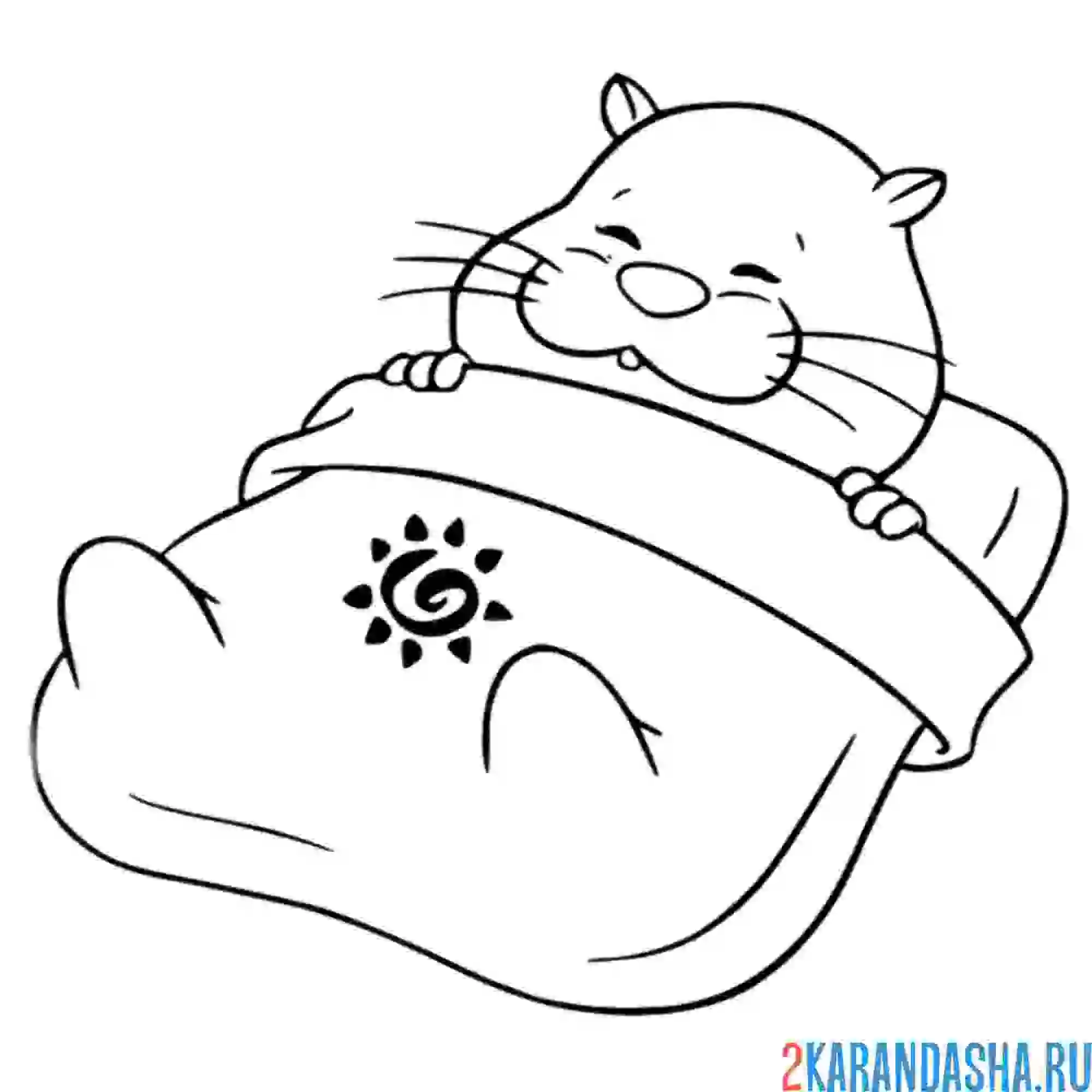 Раскраска хомяк спит