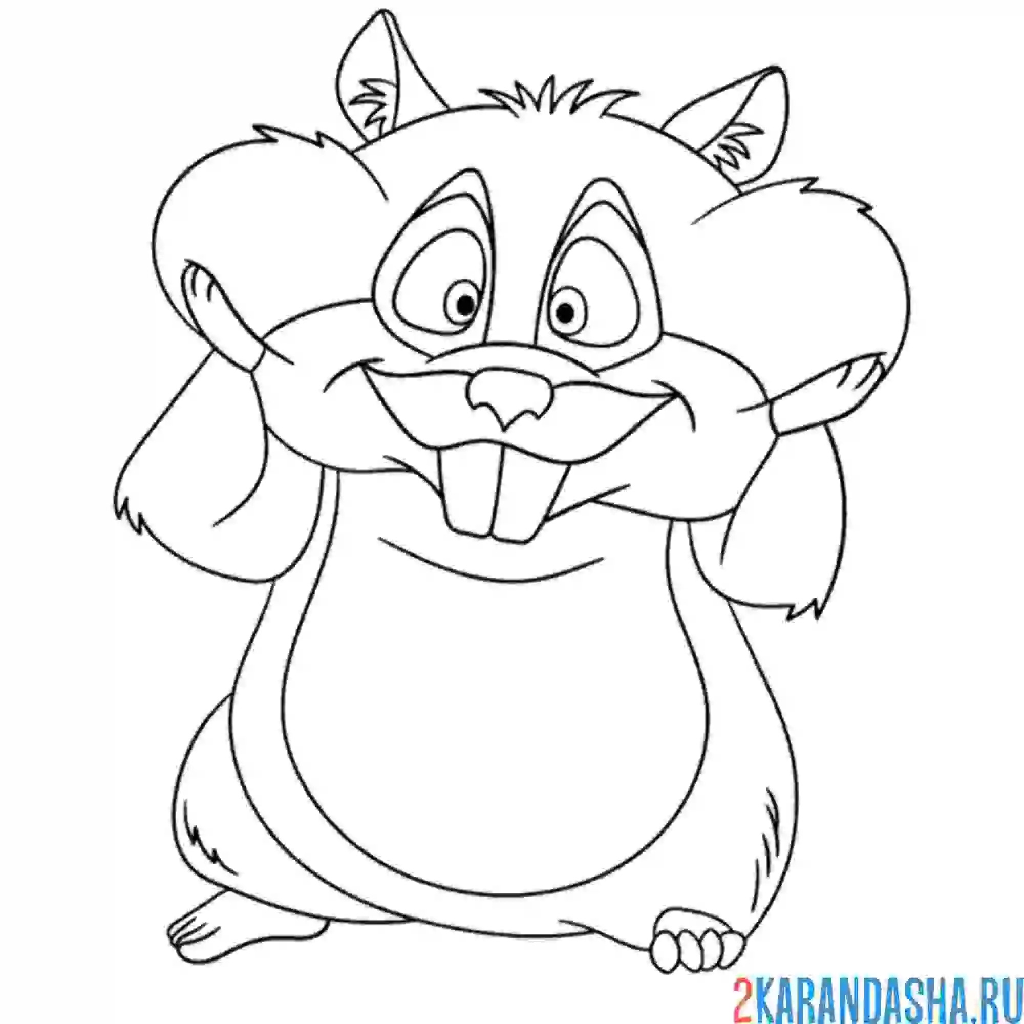 Раскраска хомяк запасливый