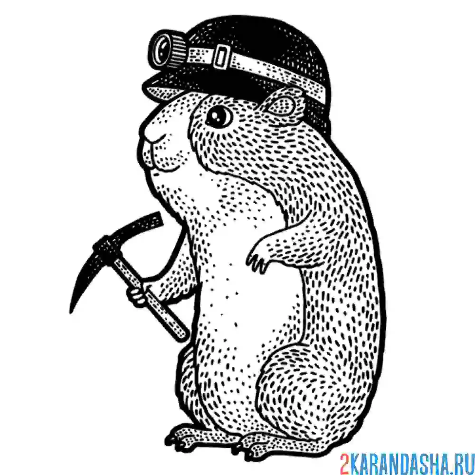 Раскраска хомяк работник