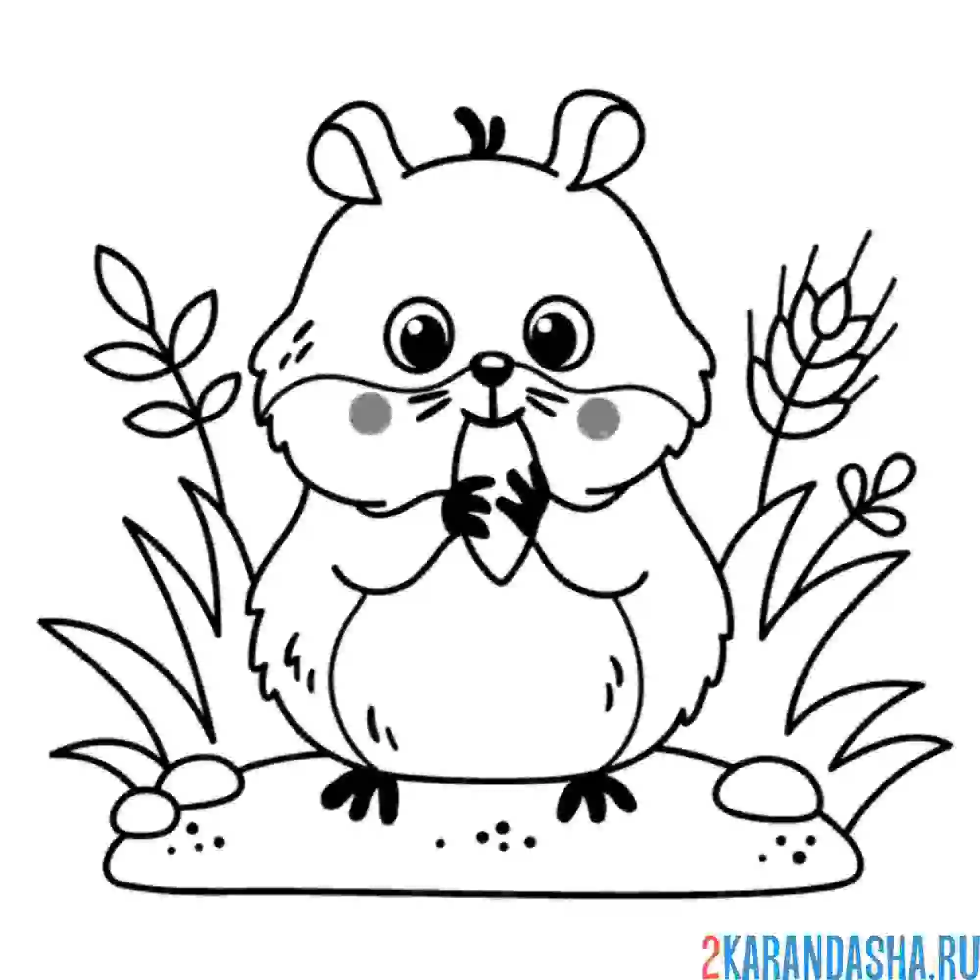 Раскраска хомяк в лесу