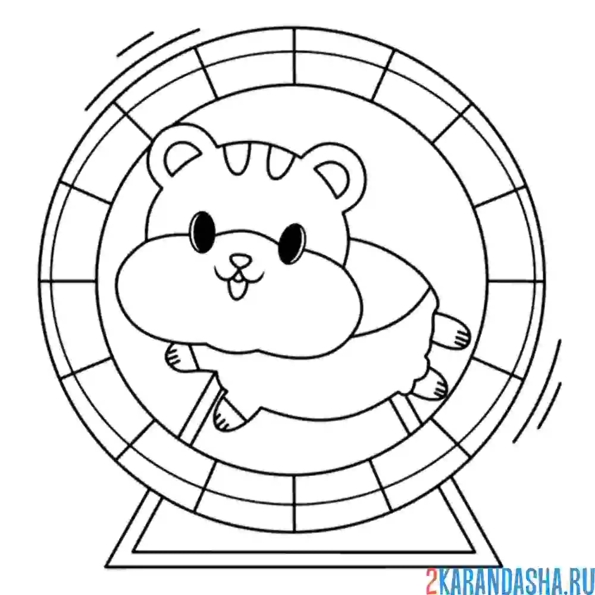 Раскраска хомек бежит в колесе