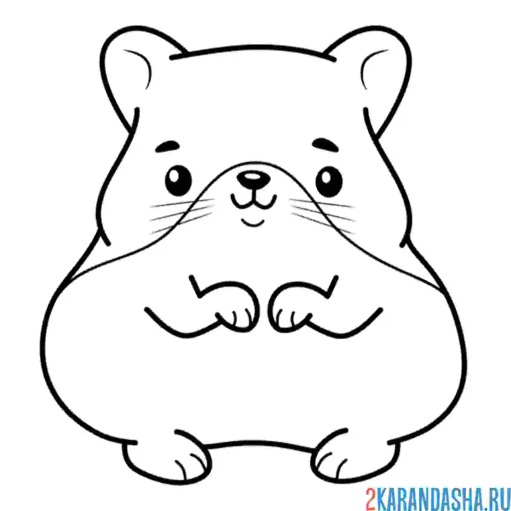 Раскраска хомячок