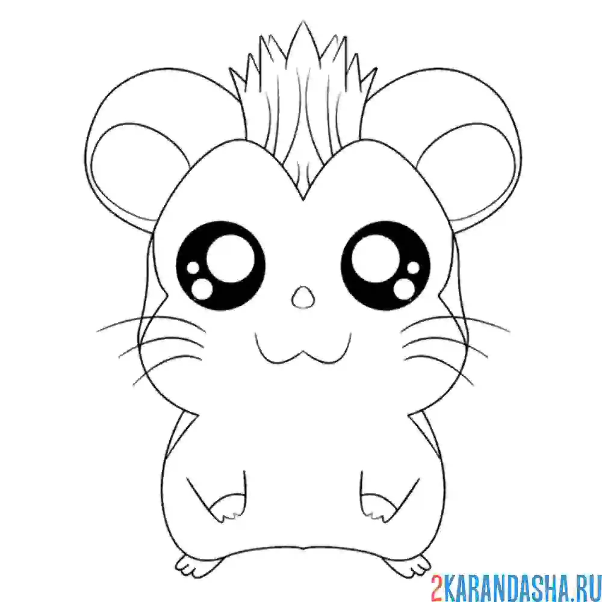 Раскраска аниме хомяк