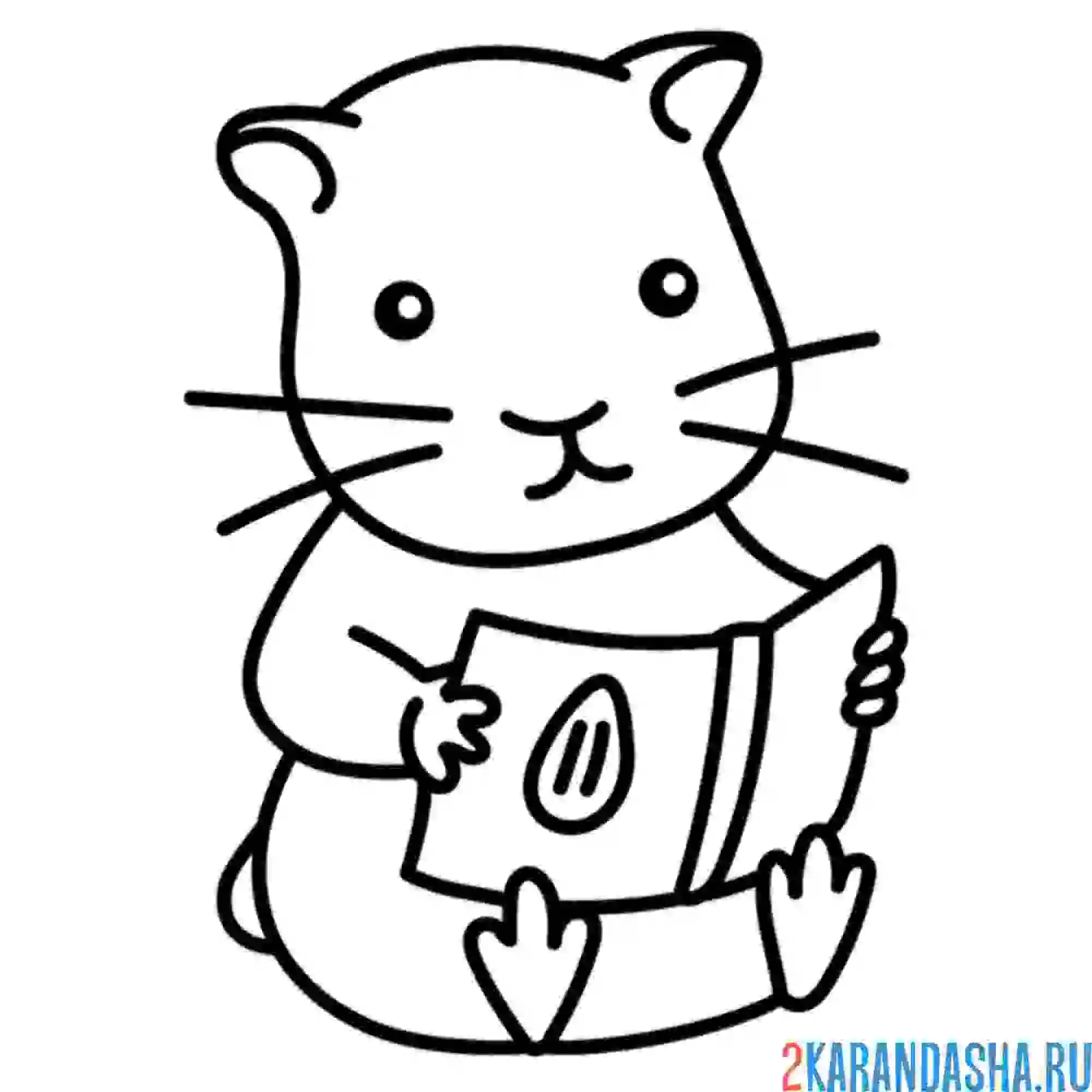 Раскраска хомяк читает